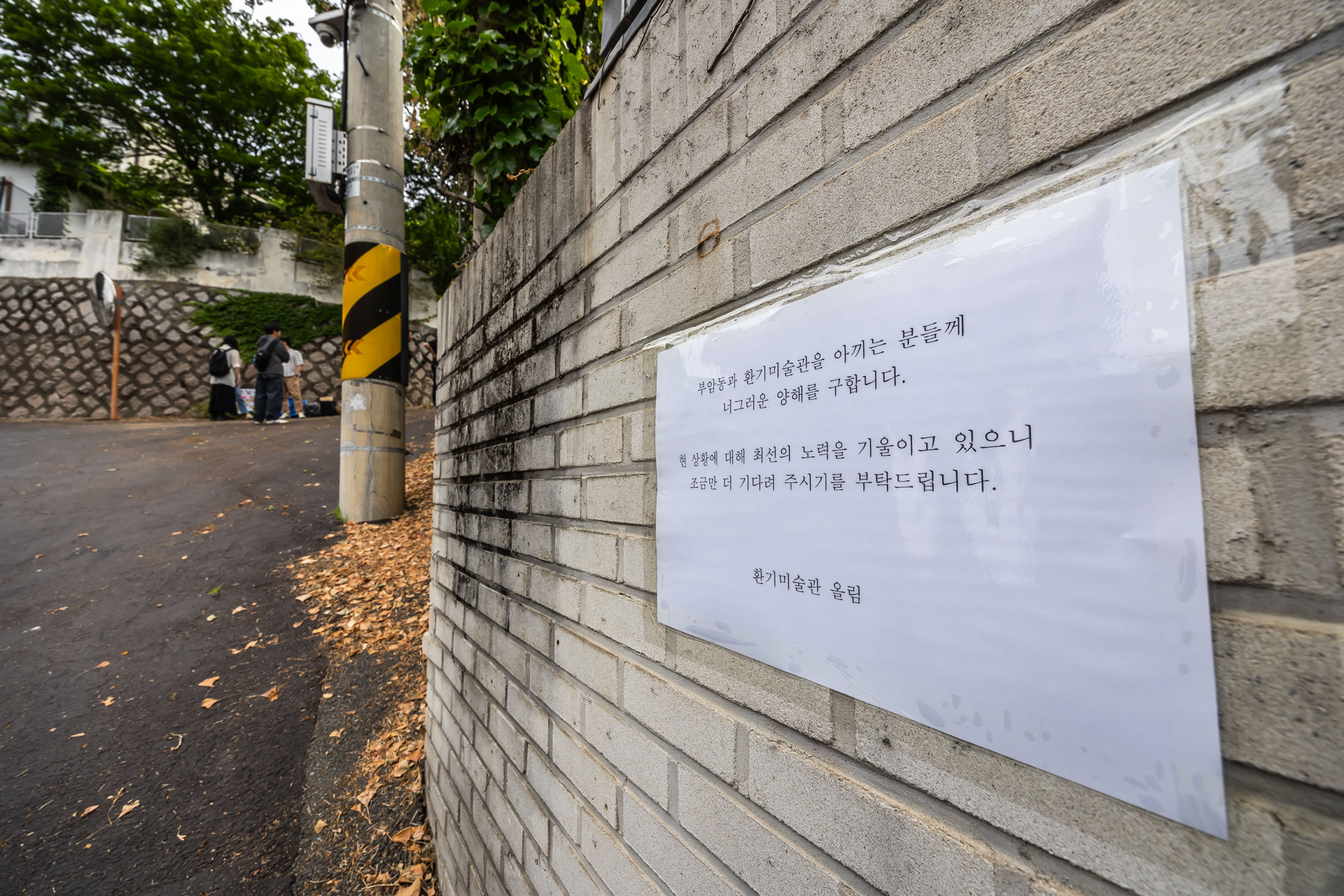 사회;사건사고;부암동은행나무;환기미술관;환기미술관옆은행나무;서울환경연합;은행나무독살규탄기자회견;산림생태학자우종영
