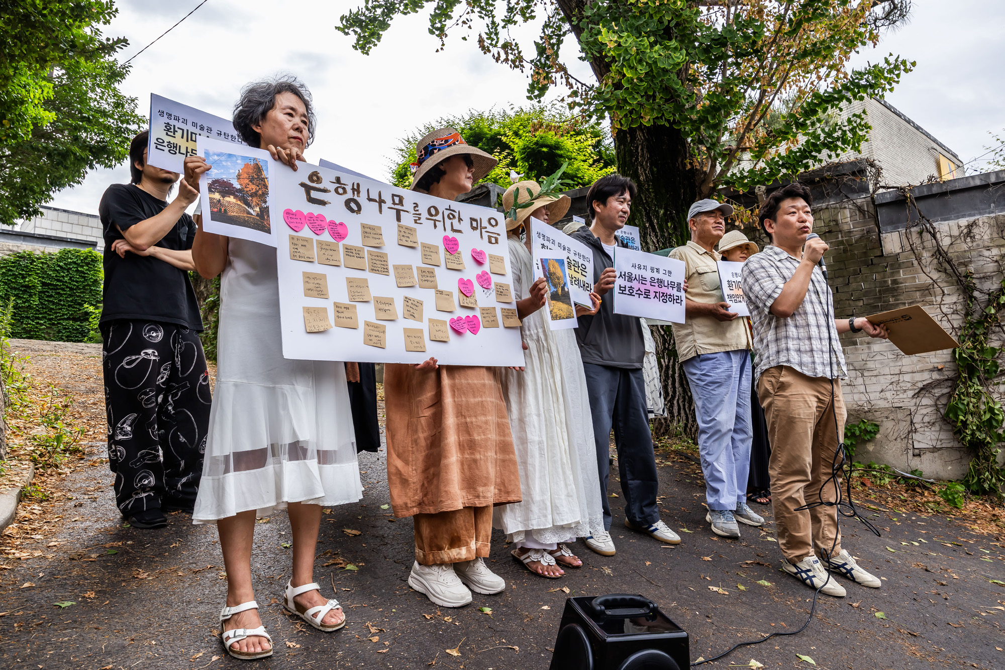 사회;사건사고;부암동은행나무;환기미술관;환기미술관옆은행나무;서울환경연합;은행나무독살규탄기자회견;산림생태학자우종영