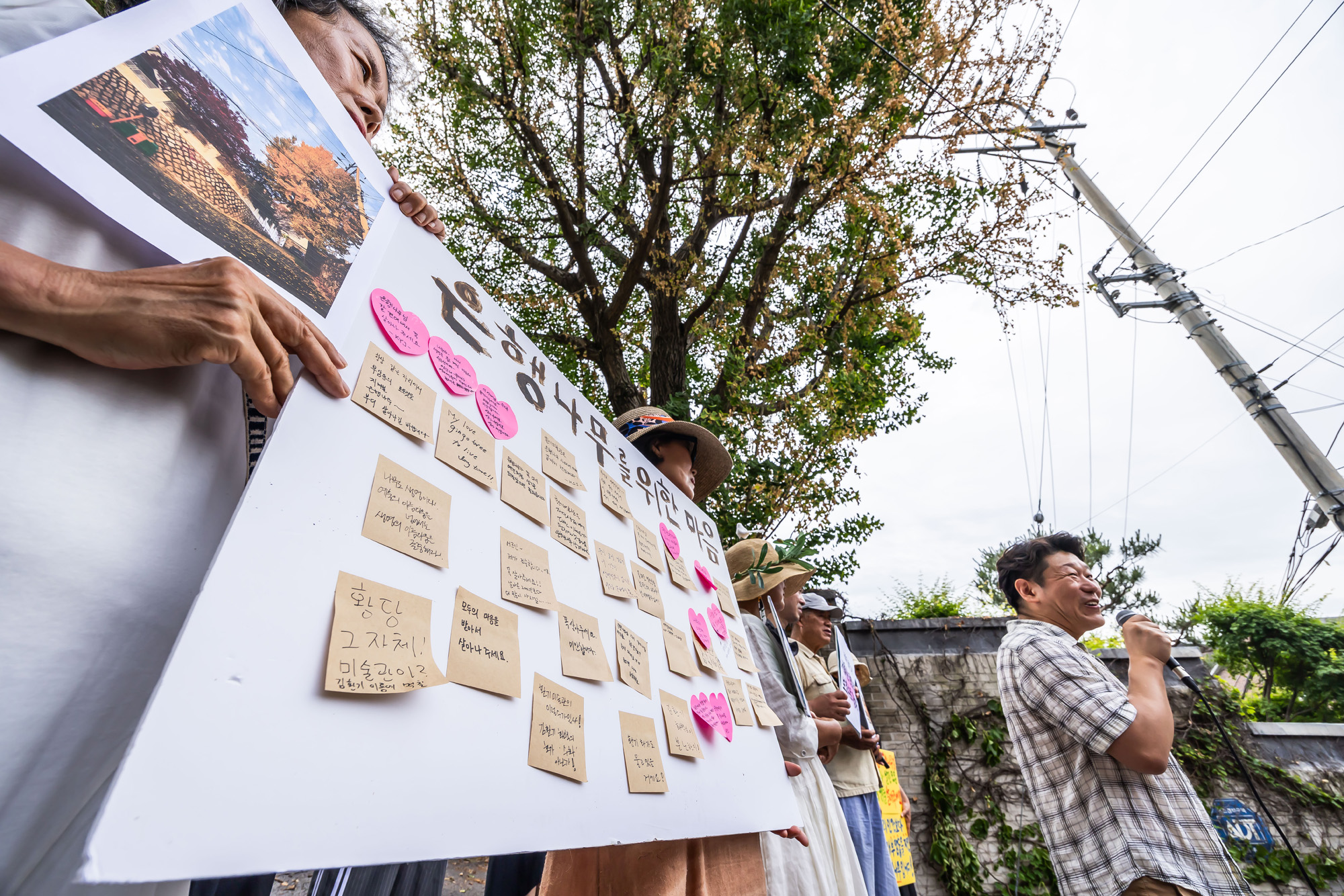 사회;사건사고;부암동은행나무;환기미술관;환기미술관옆은행나무;서울환경연합;은행나무독살규탄기자회견;산림생태학자우종영