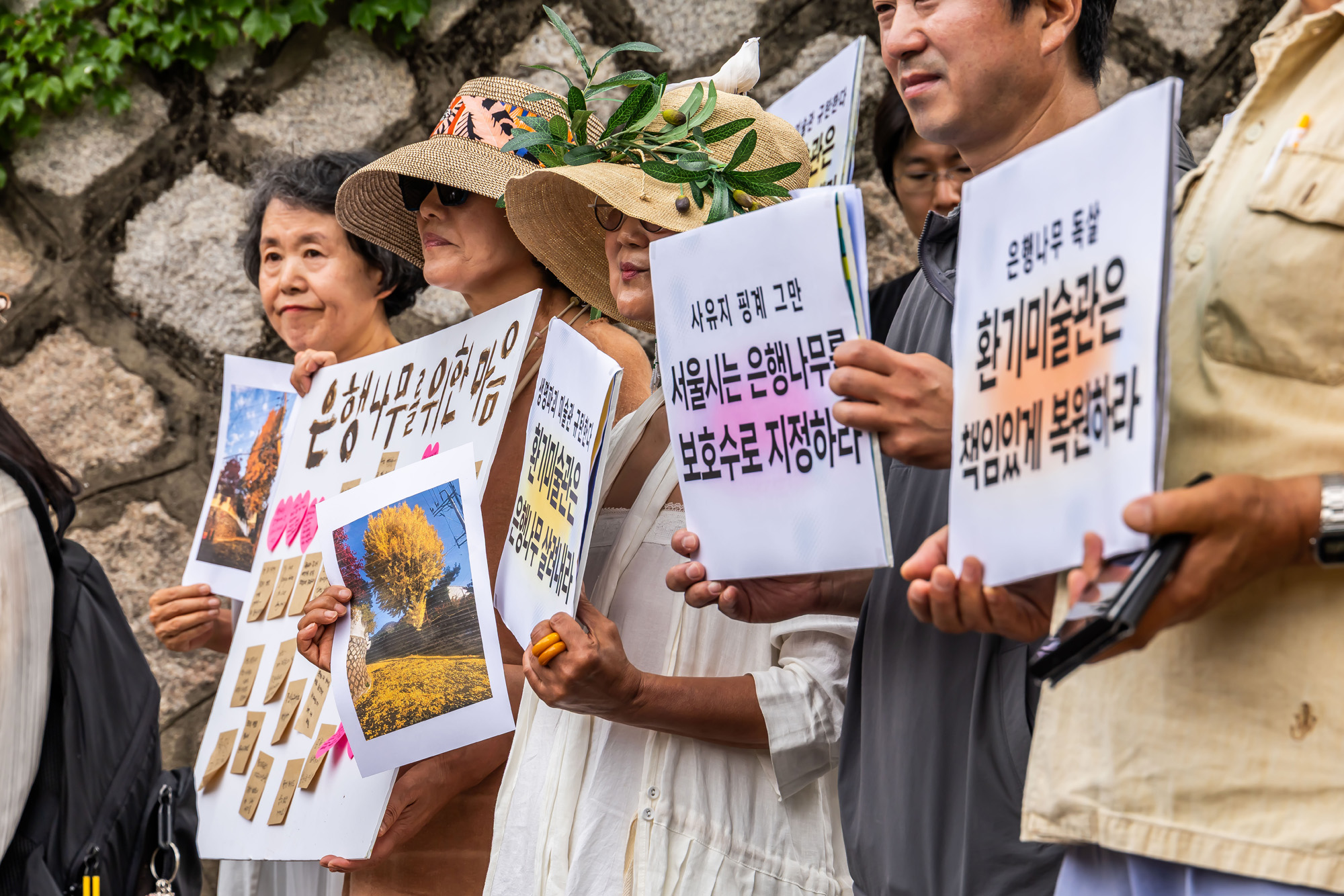 사회;사건사고;부암동은행나무;환기미술관;환기미술관옆은행나무;서울환경연합;은행나무독살규탄기자회견;산림생태학자우종영