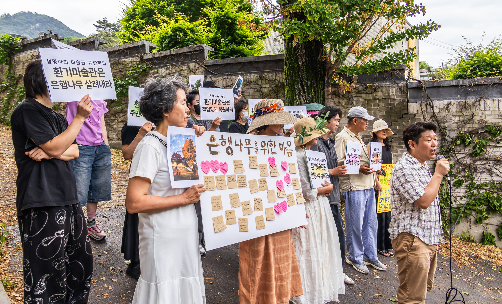 사회;사건사고;부암동은행나무;환기미술관;환기미술관옆은행나무;서울환경연합;은행나무독살규탄기자회견;산림생태학자우종영