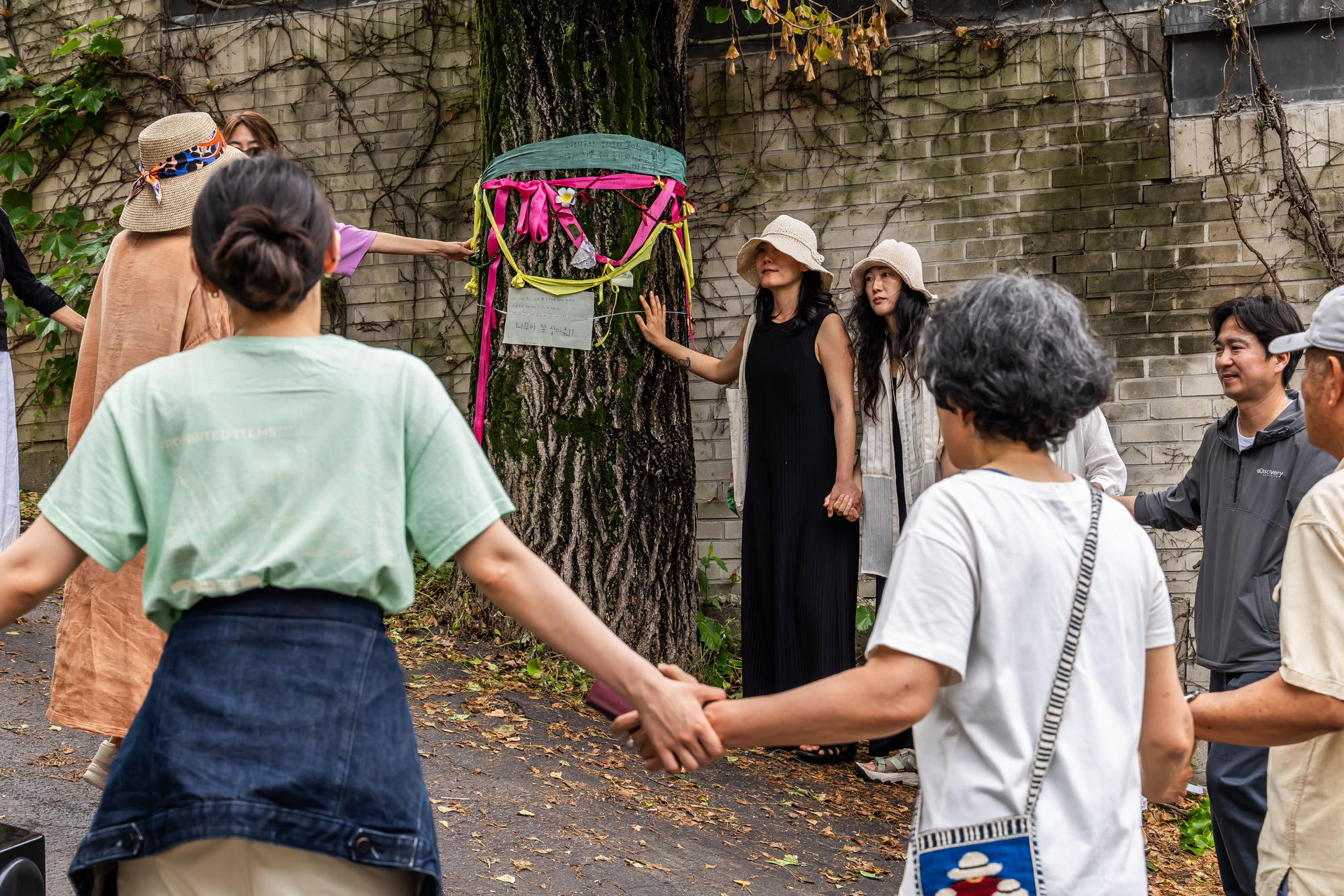 사회;사건사고;부암동은행나무;환기미술관;환기미술관옆은행나무;서울환경연합;은행나무독살규탄기자회견;산림생태학자우종영