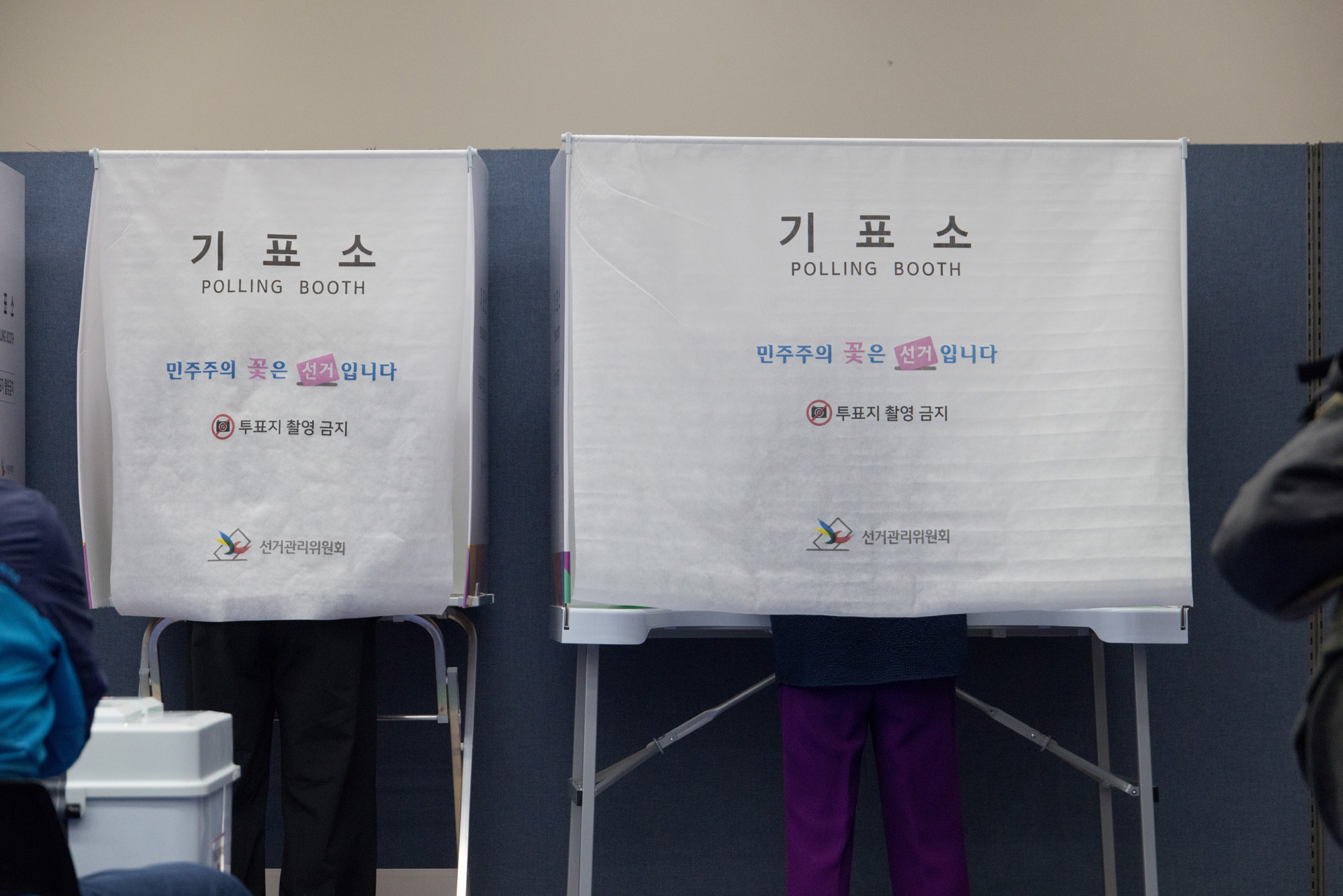 정치;선거;전국동시지방선거