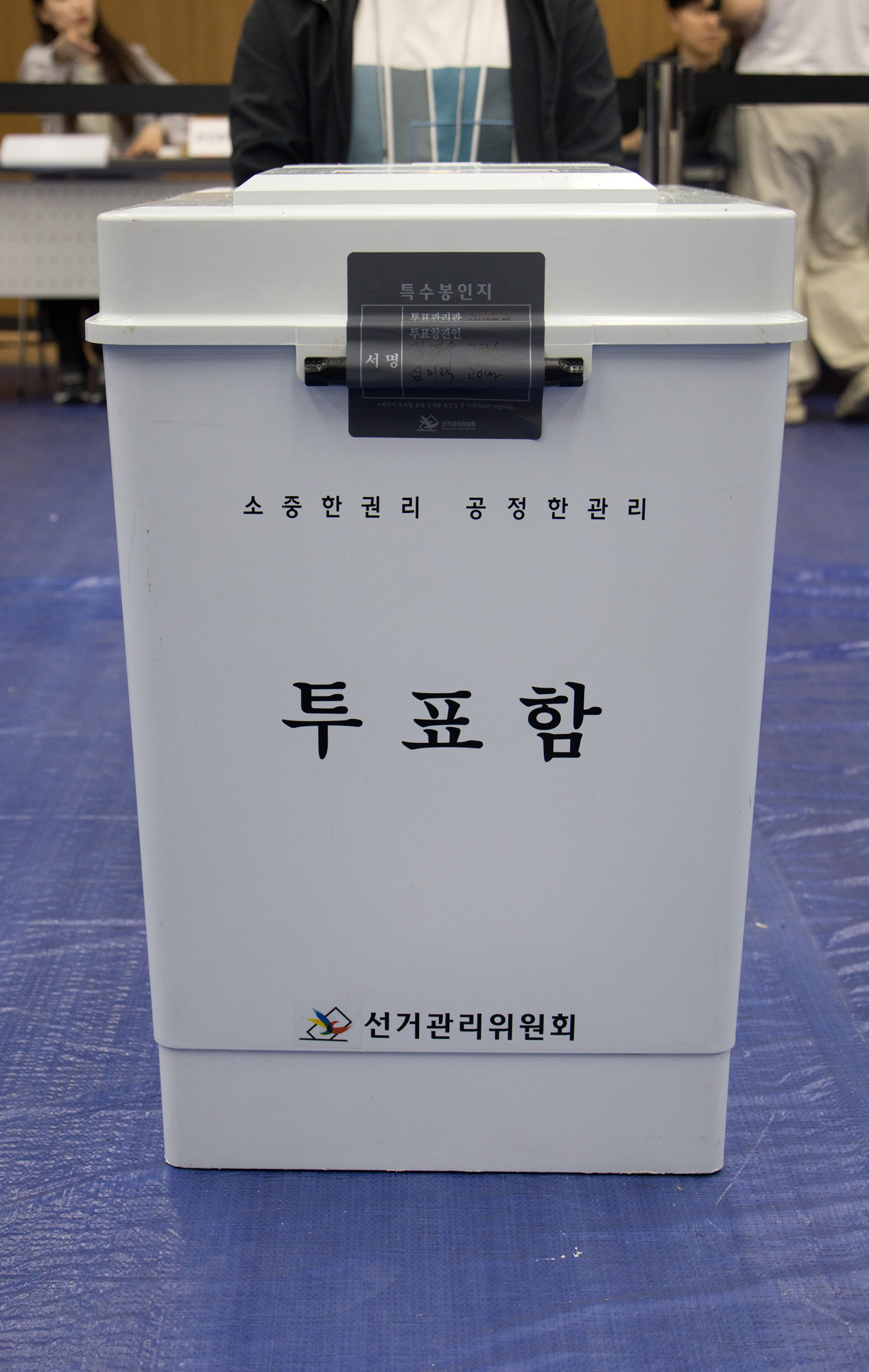 정치;선거;전국동시지방선거
