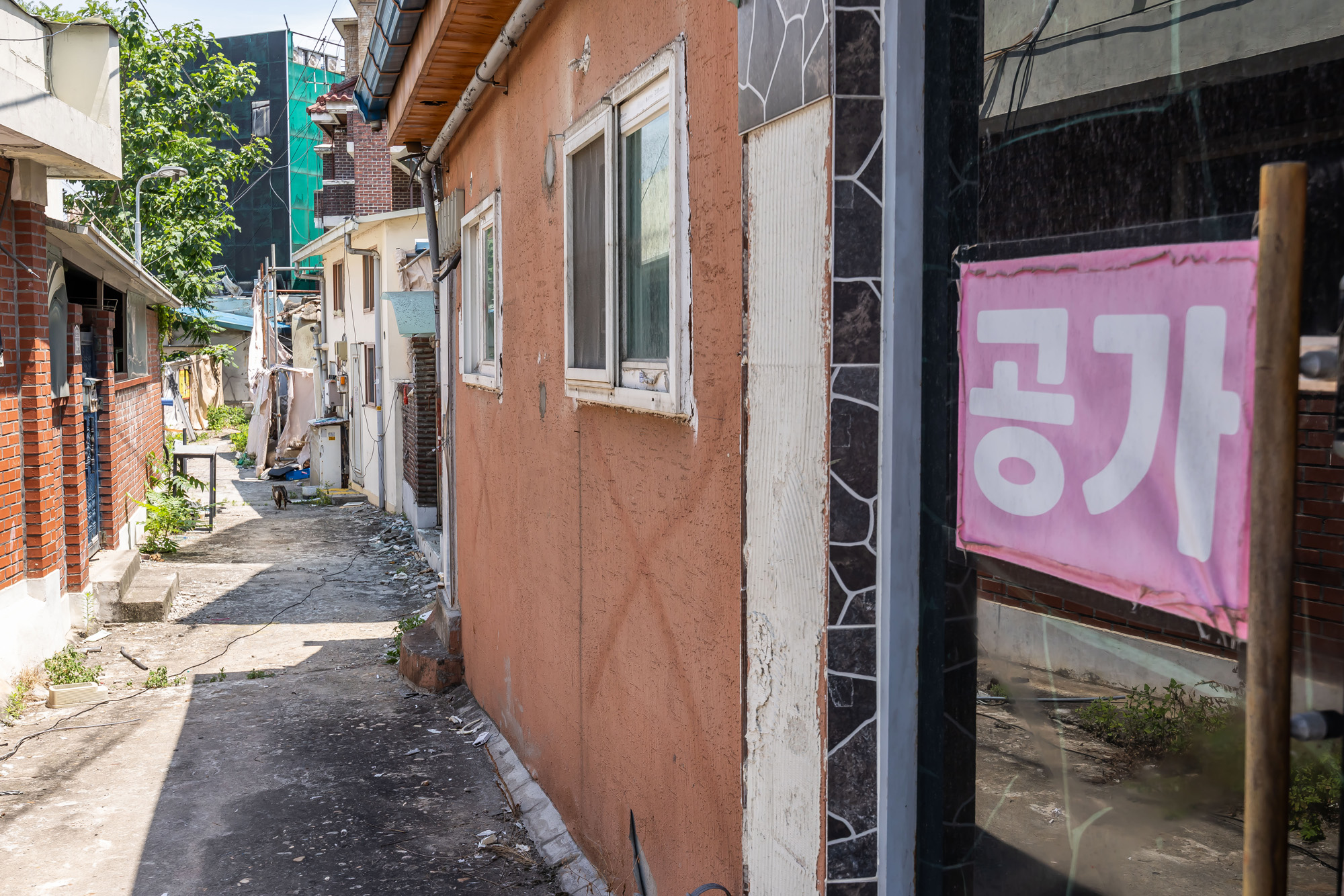 경제;부동산;부동산재개발;노량진이주본격화;서울전세시장;노량진일대철거예정지;본동인정시장인근철거예정지;주택가철거