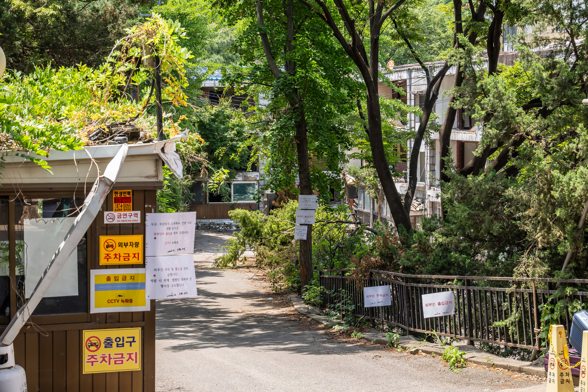 경제;부동산;부동산재개발;노량진이주본격화;서울전세시장;노량진일대철거예정지;본동인정시장인근철거예정지;주택가철거