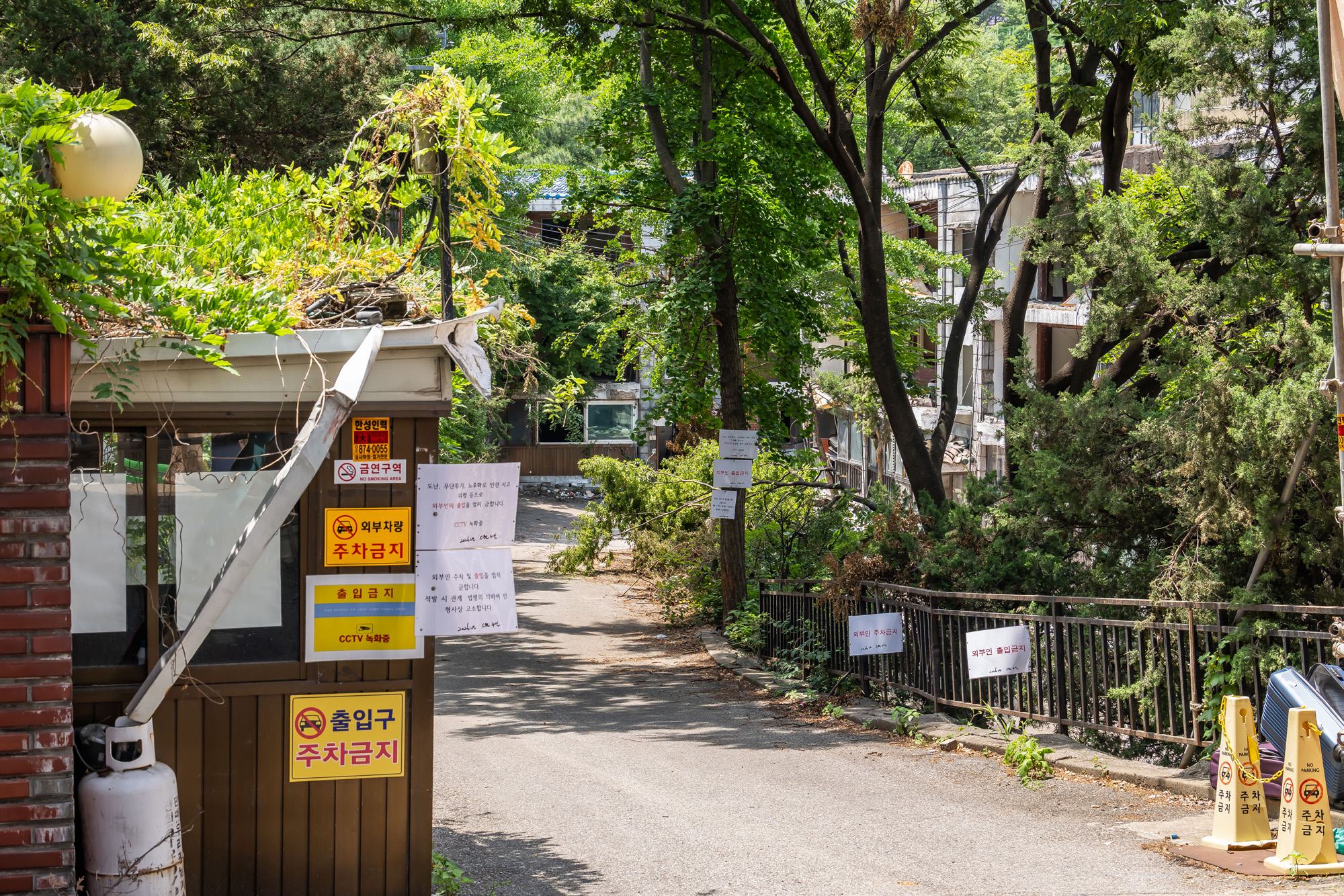 경제;부동산;부동산재개발;노량진이주본격화;서울전세시장;노량진일대철거예정지;본동인정시장인근철거예정지;주택가철거