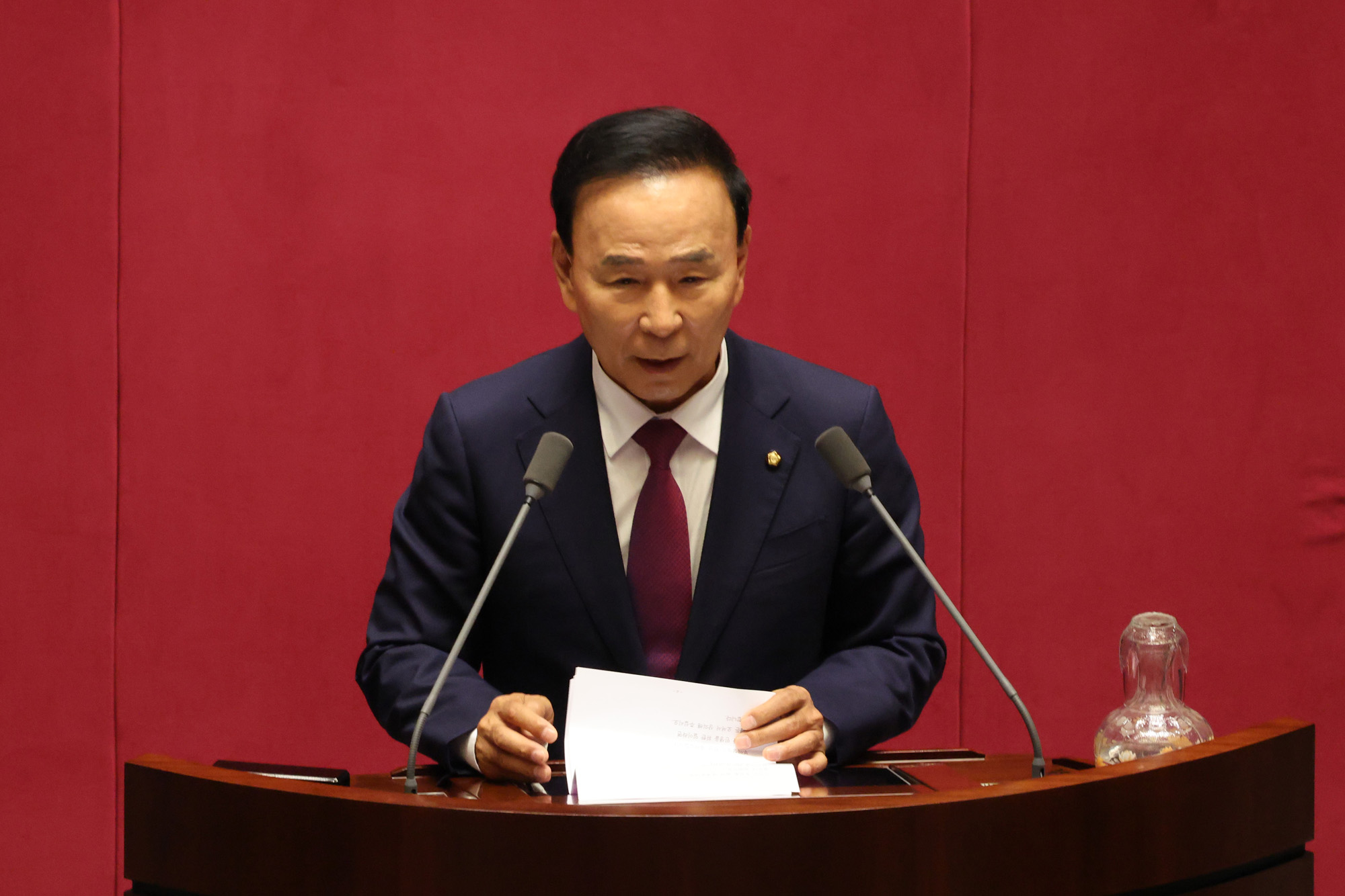 정치;국회;본회의;국회부의장선출;남인순;박덕흠