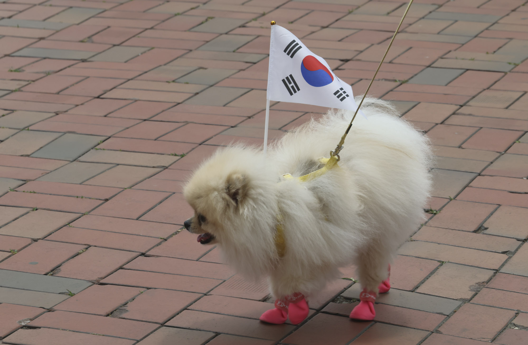 올림픽공원;재선거;부정선거