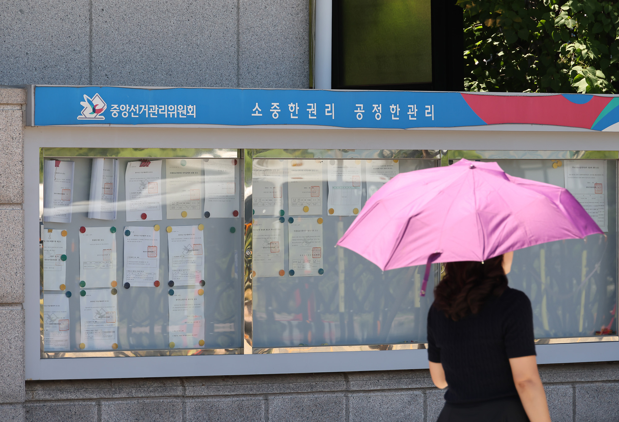 중앙선거관리 위원회;중앙선관위;선관위;투표;개표;선거;부정선거;투표지