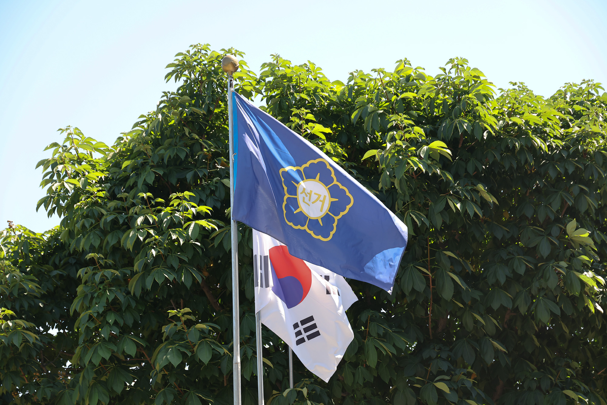 중앙선거관리 위원회;중앙선관위;선관위;투표;개표;선거;부정선거;투표지