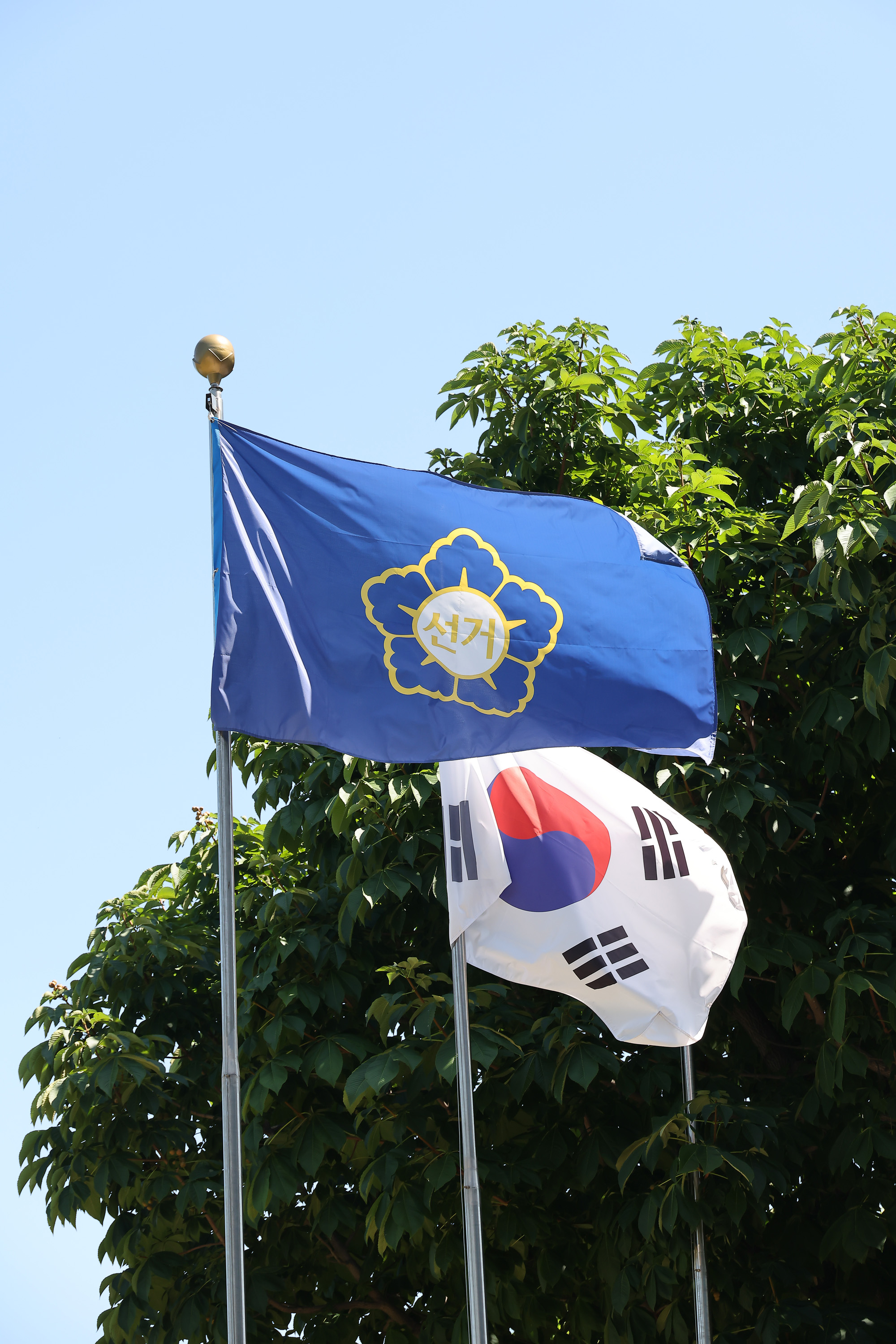 중앙선거관리 위원회;중앙선관위;선관위;투표;개표;선거;부정선거;투표지