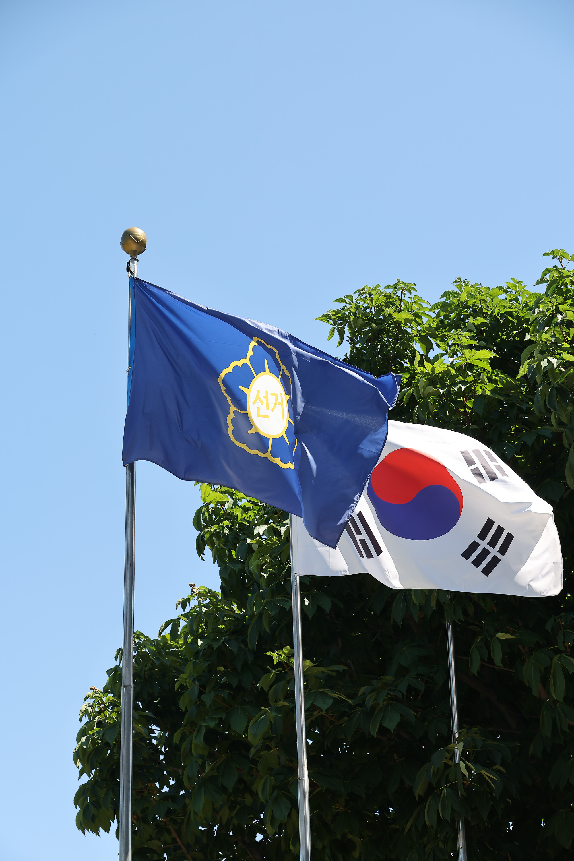 중앙선거관리 위원회;중앙선관위;선관위;투표;개표;선거;부정선거;투표지