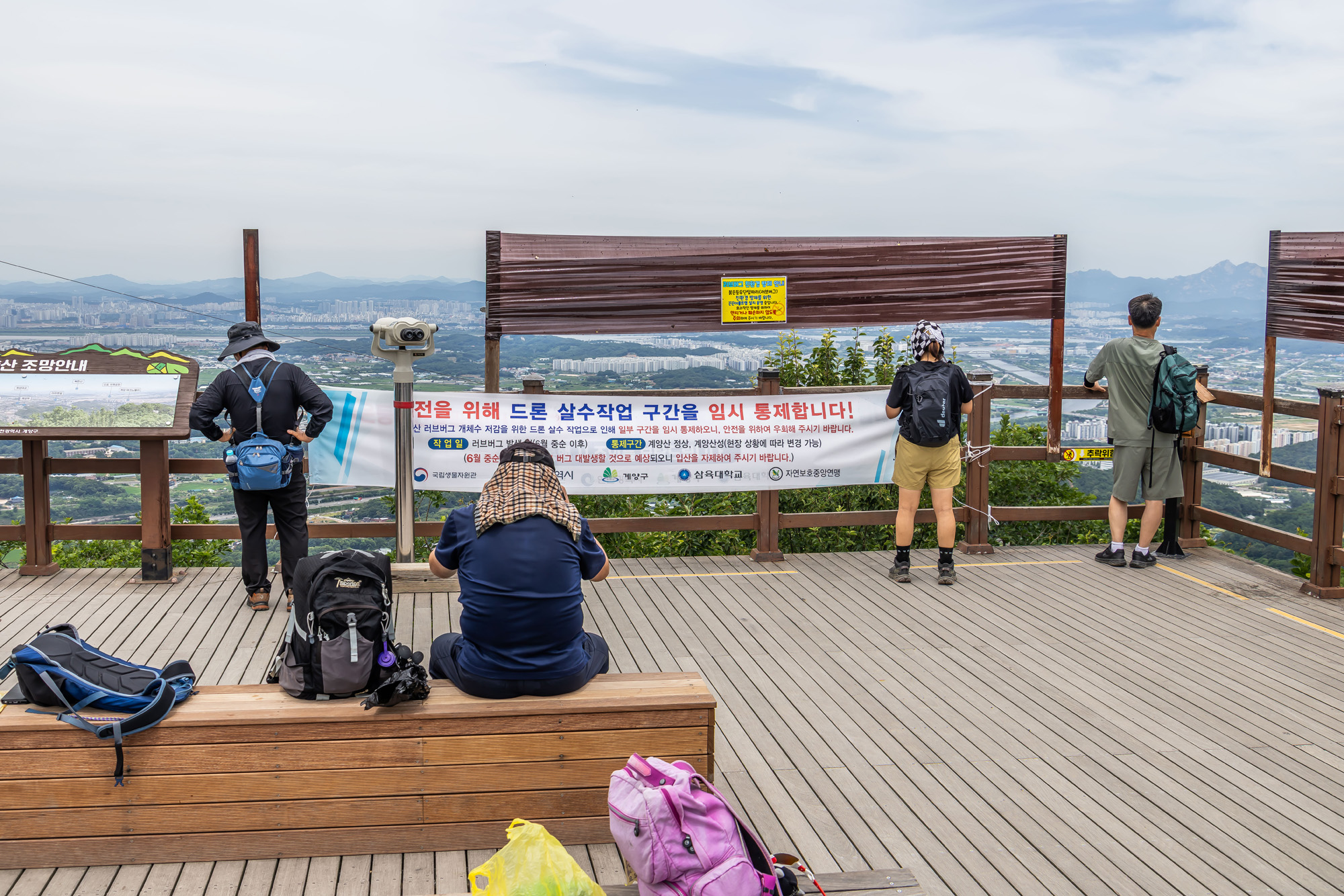 사회;환경;세태;여름벌레;인천계양산러브버그;계양산붉은등우단털파리;계양산러브버그방재;러브버그끈끈이트랩