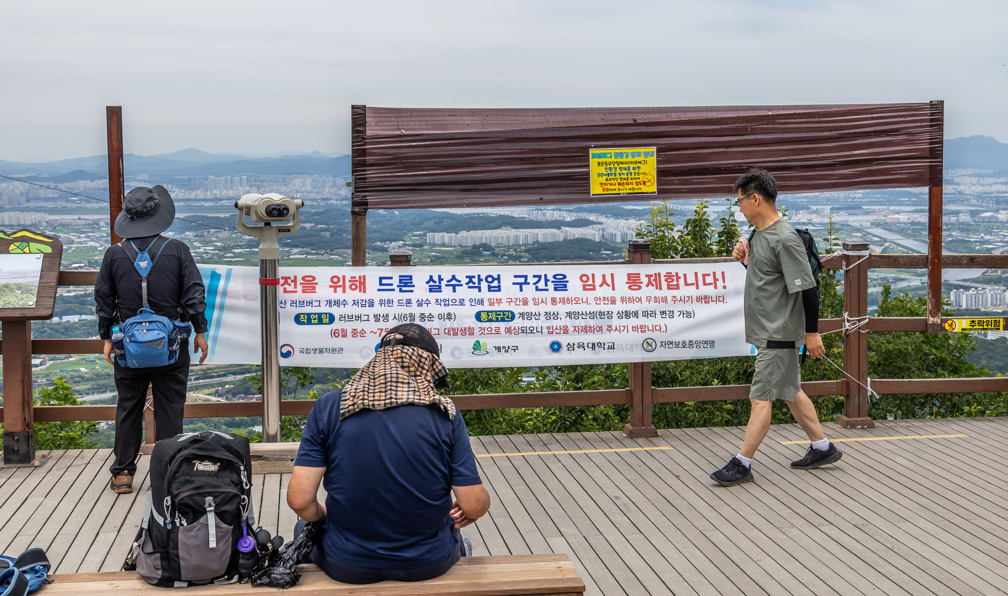 사회;환경;세태;여름벌레;인천계양산러브버그;계양산붉은등우단털파리;계양산러브버그방재;러브버그끈끈이트랩