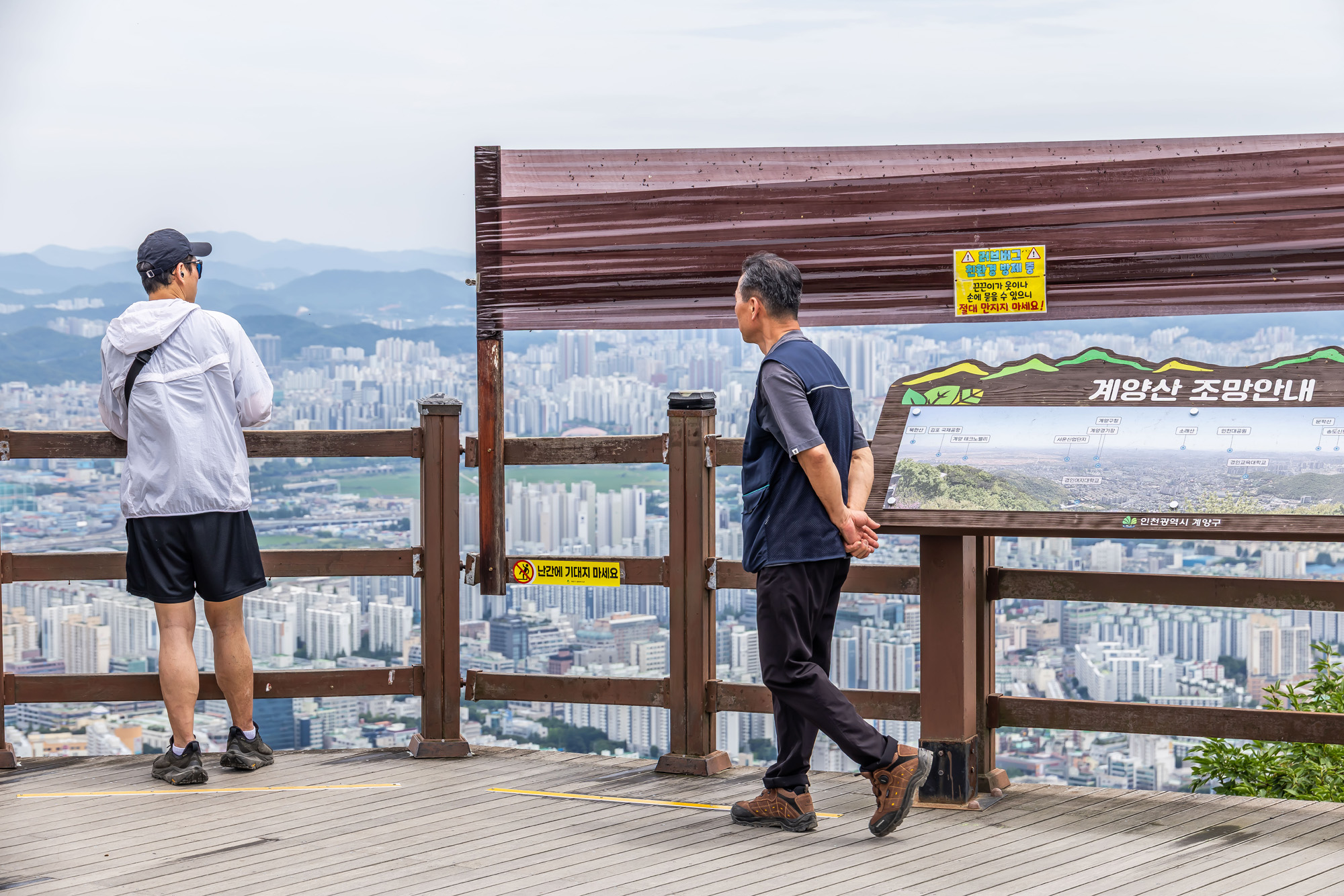 사회;환경;세태;여름벌레;인천계양산러브버그;계양산붉은등우단털파리;계양산러브버그방재;러브버그끈끈이트랩