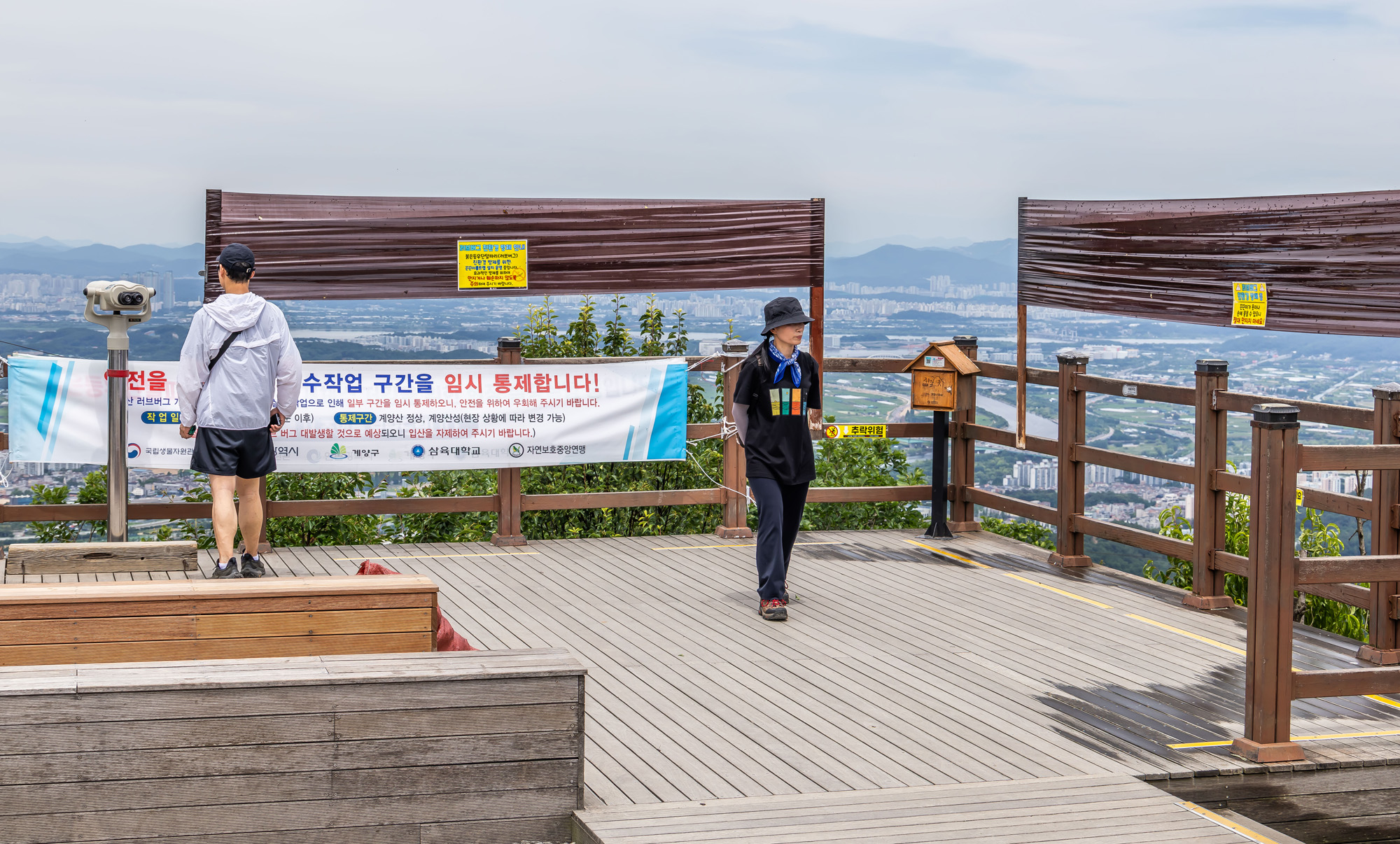 사회;환경;세태;여름벌레;인천계양산러브버그;계양산붉은등우단털파리;계양산러브버그방재;러브버그끈끈이트랩