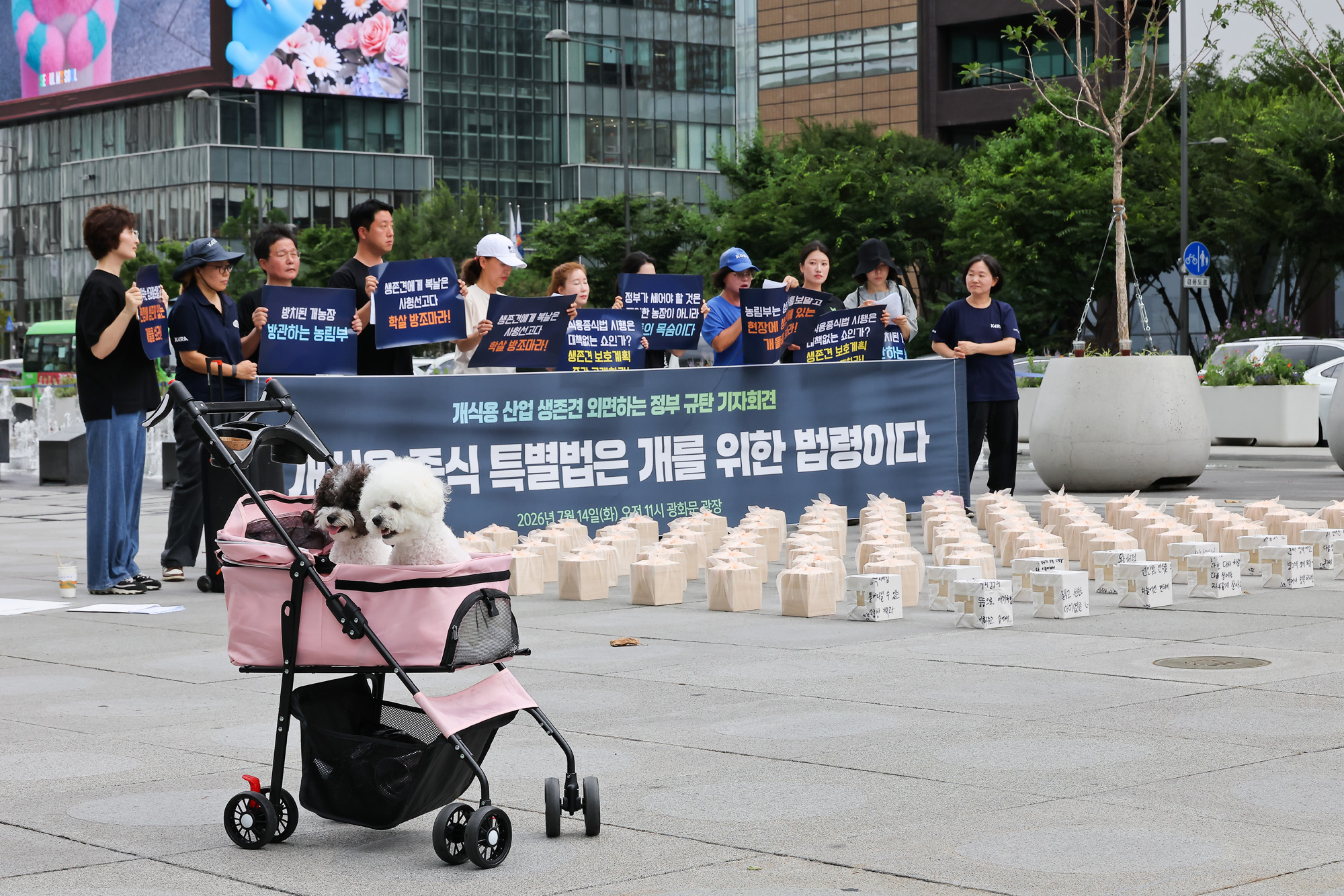개식용;종식법;유예기간;동물권;동물단체.보신탕