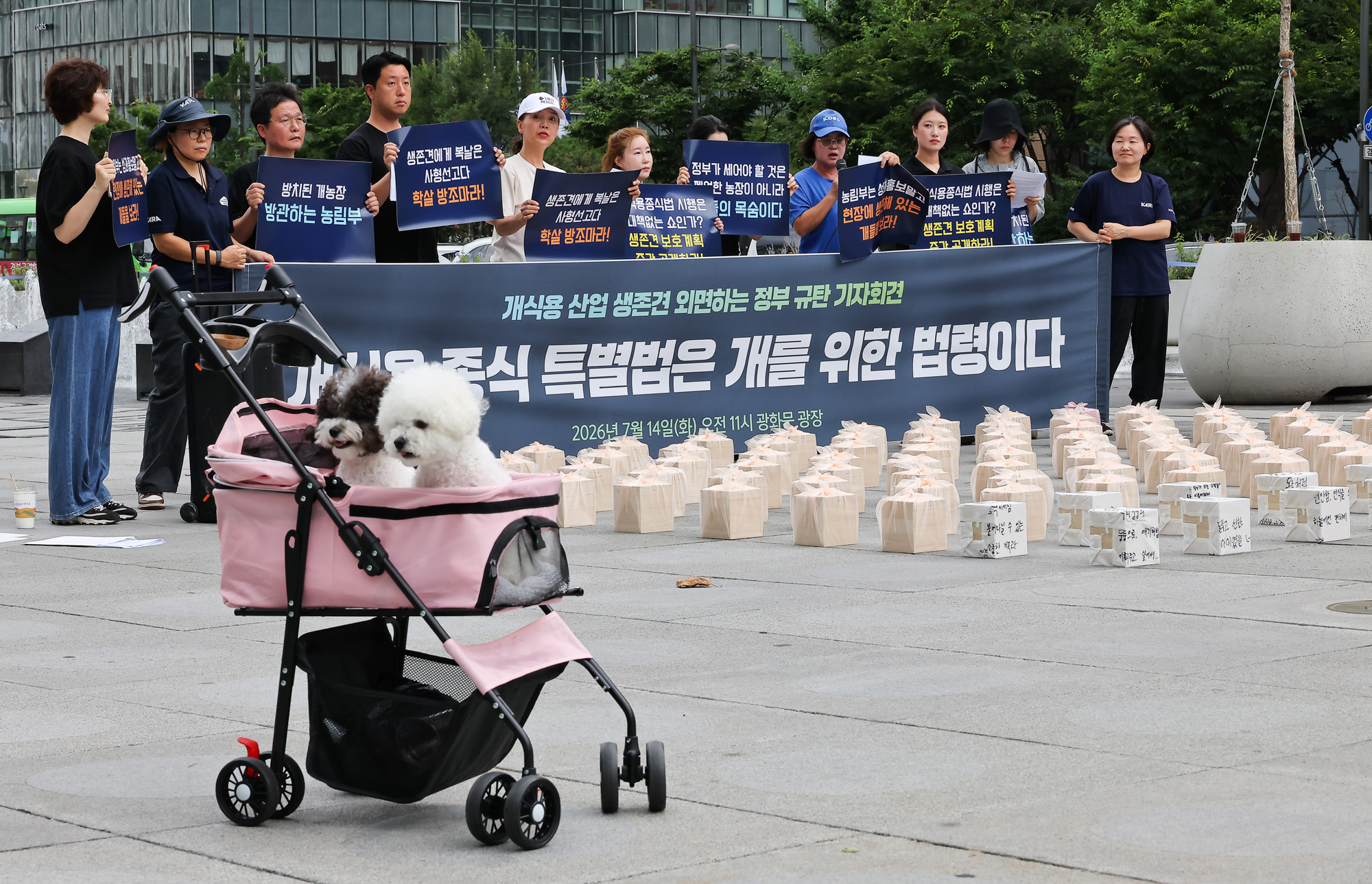 개식용;종식법;유예기간;동물권;동물단체.보신탕