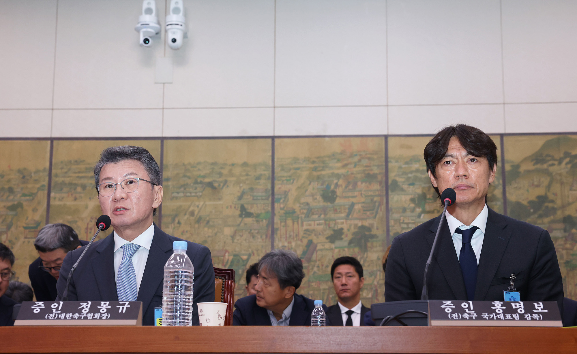 정치;국회;문화체육관광위원회;청문회;대한축구협회;정몽규;홍명보