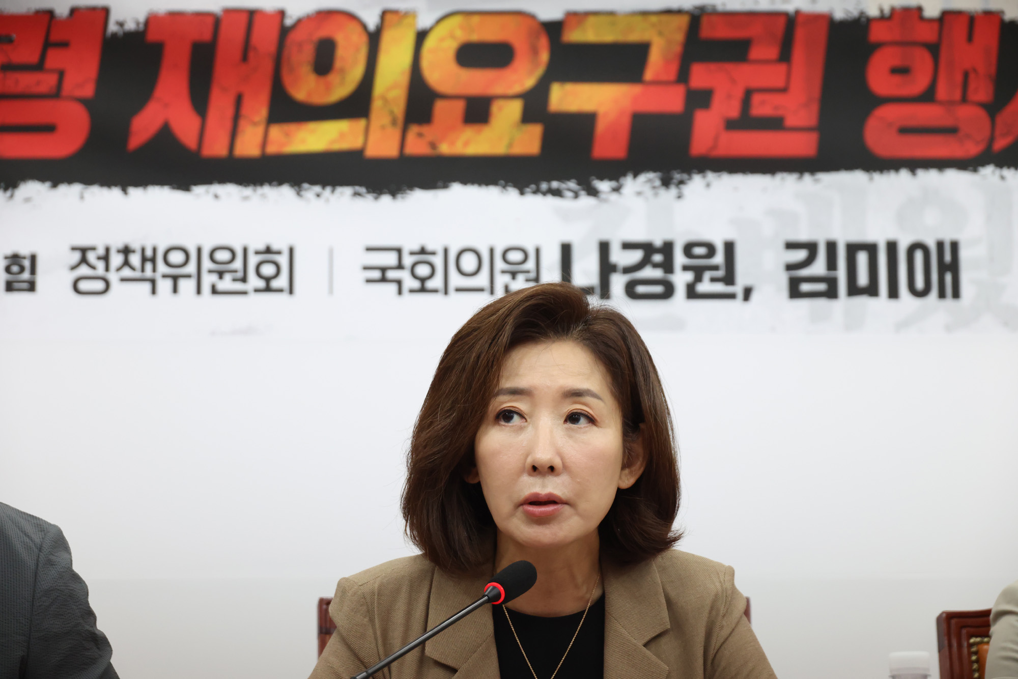 정치;국회;보완수사권;대통령재의요구권;장동혁;나경원