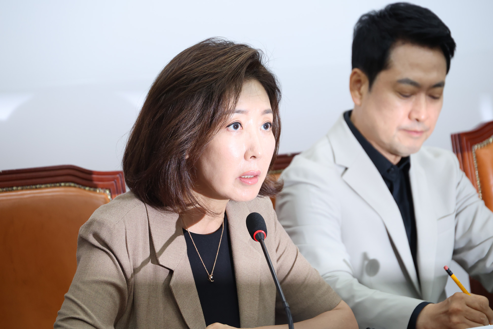정치;국회;보완수사권;대통령재의요구권;장동혁;나경원