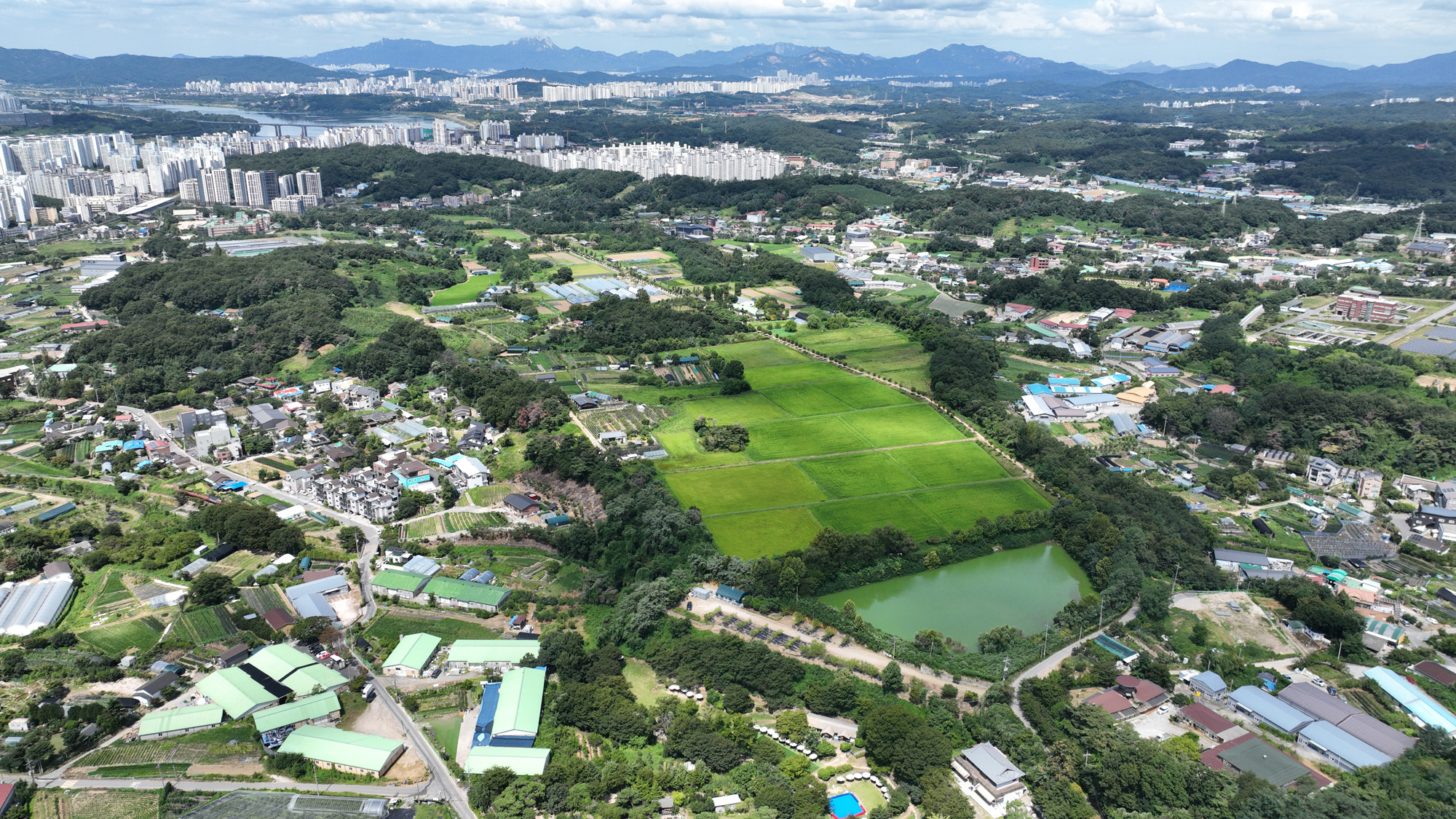 신규 공공주택지구;남양주;와부읍;덕소;고려대덕소농장