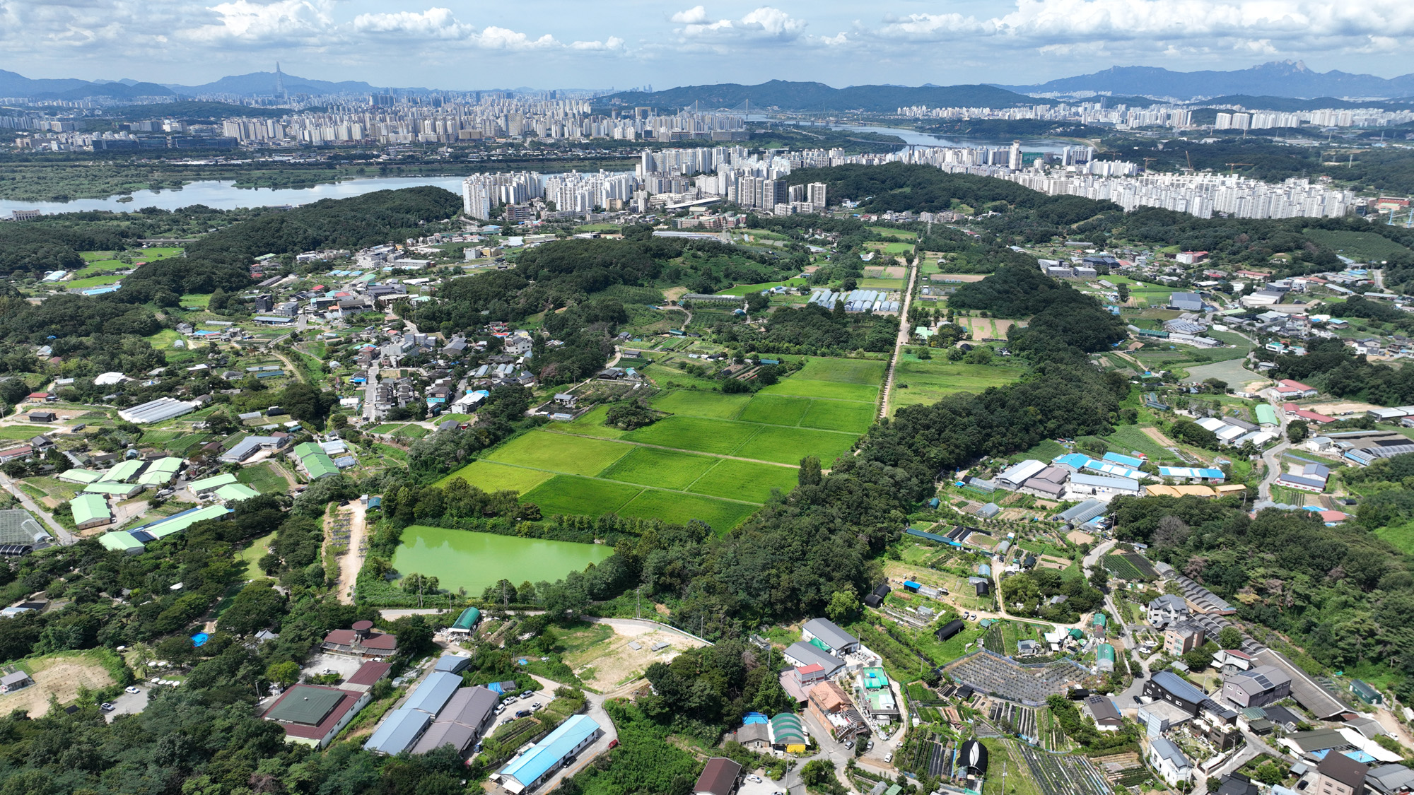 신규 공공주택지구;남양주;와부읍;덕소;고려대덕소농장
