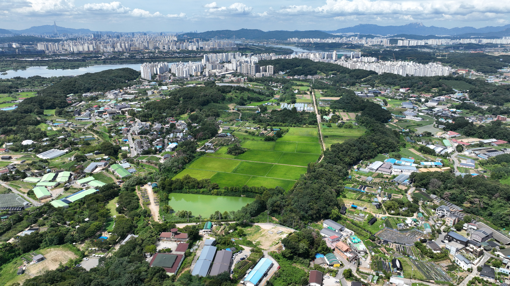 신규 공공주택지구;남양주;와부읍;덕소;고려대덕소농장
