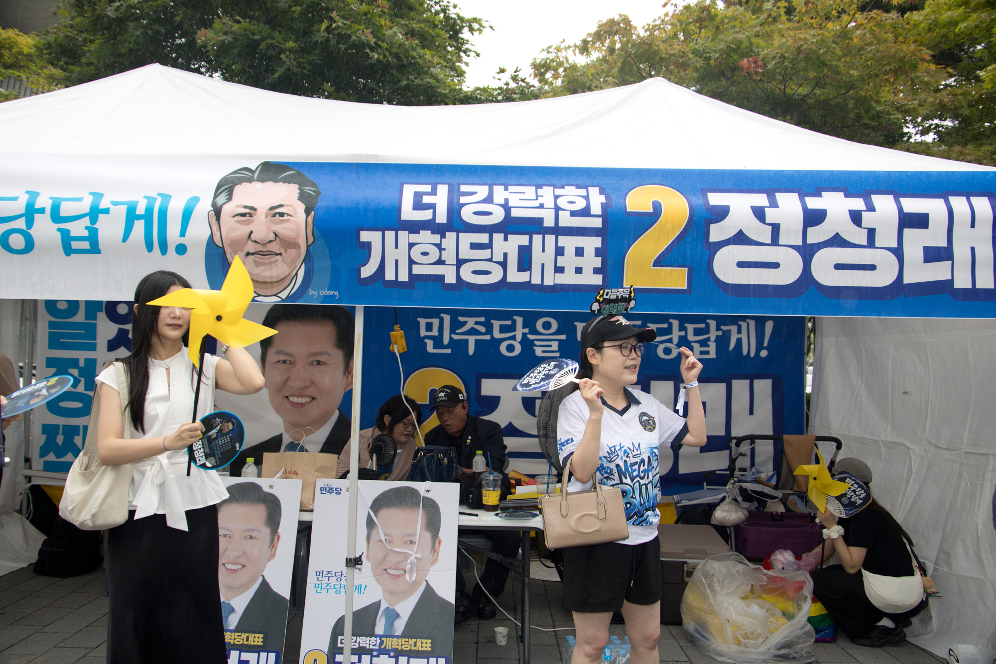 정치;정당;더불어민주당;전당대회;당대표 선출