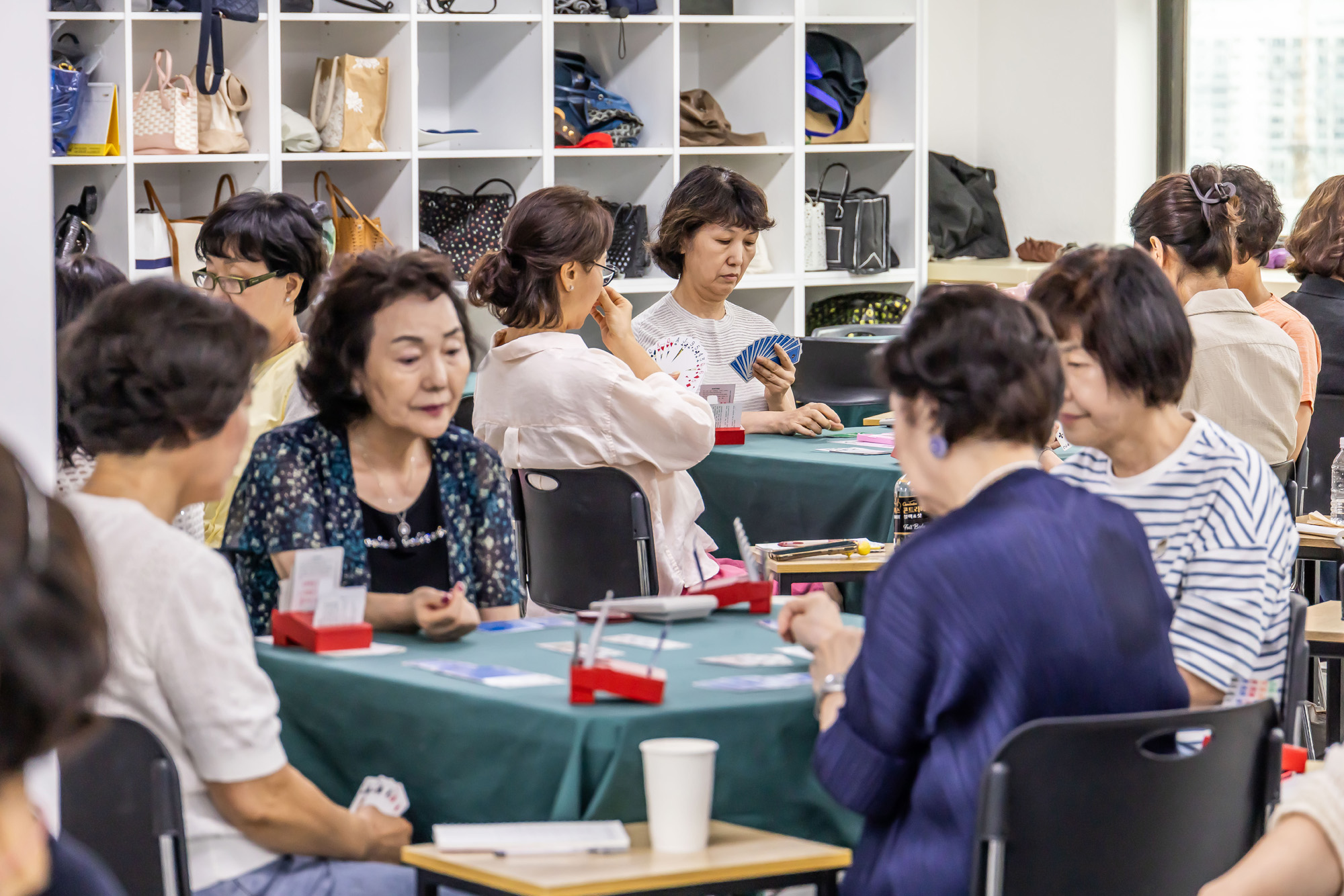 문화;스포츠;카드게임;브리지게임;컨트랙트브리지;한국브리지협회;컨트랙트브리지토너먼트대회