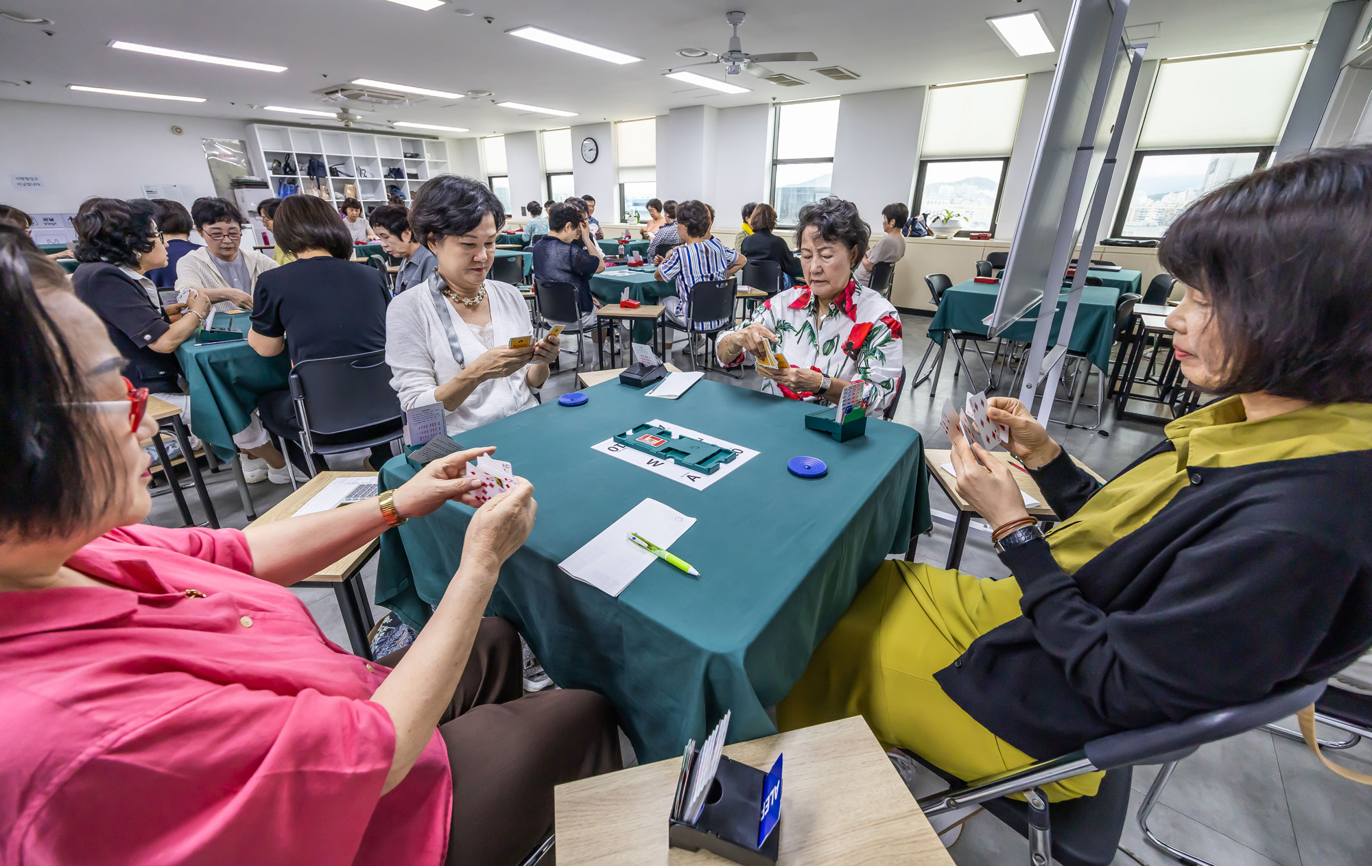 문화;스포츠;카드게임;브리지게임;컨트랙트브리지;한국브리지협회;컨트랙트브리지토너먼트대회