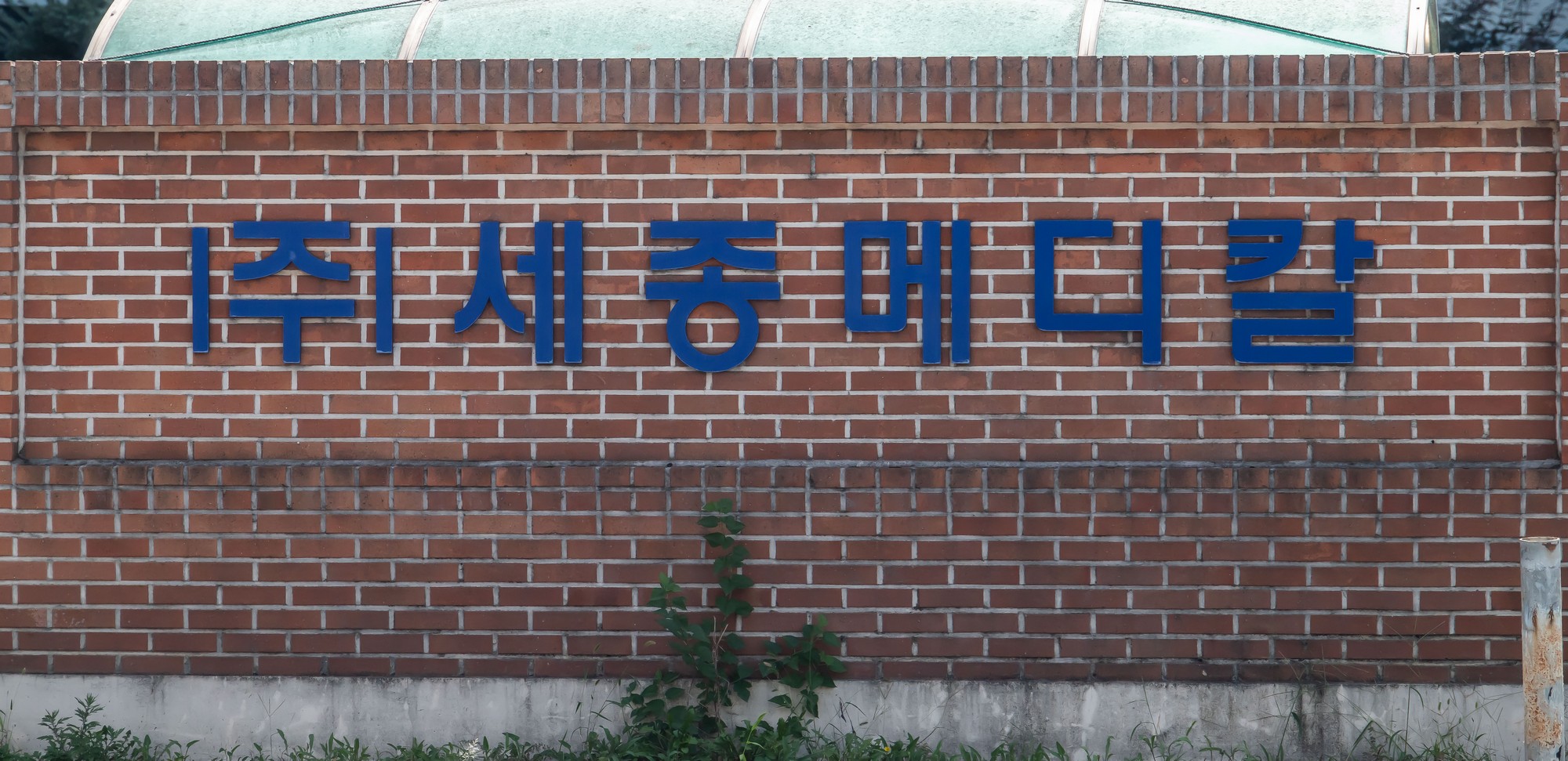 사회;기업;의약기업;김승원;김승원법무부장관후보자;세종메디칼;코로나19치료제;제넨셀;의료기기생산업체