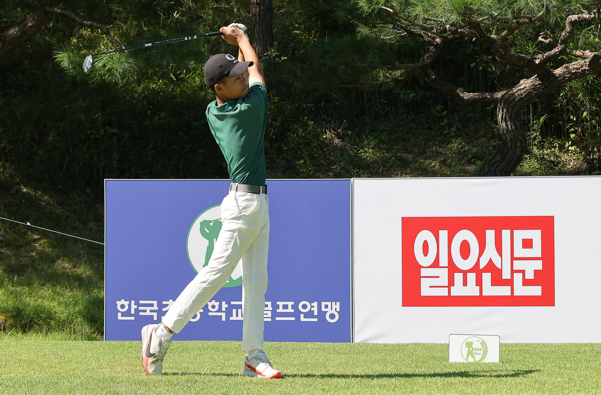 일요신문;일요신문골프;일요신문꿈나무골프대회;골프대회;꿈나무골프대회;보성;보성CC;대잔치 골프연맹;초등학생