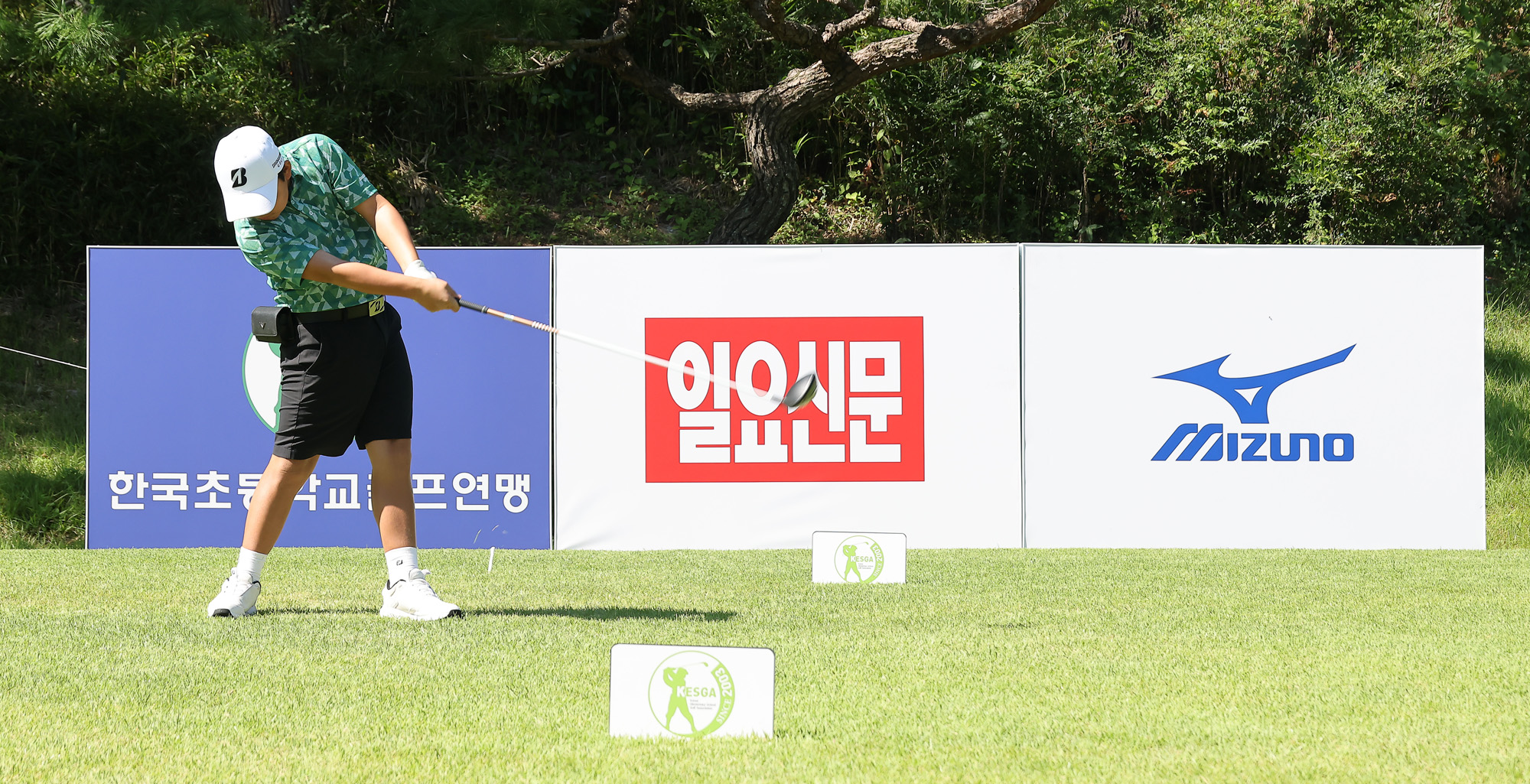 일요신문;일요신문골프;일요신문꿈나무골프대회;골프대회;꿈나무골프대회;보성;보성CC;대잔치 골프연맹;초등학생