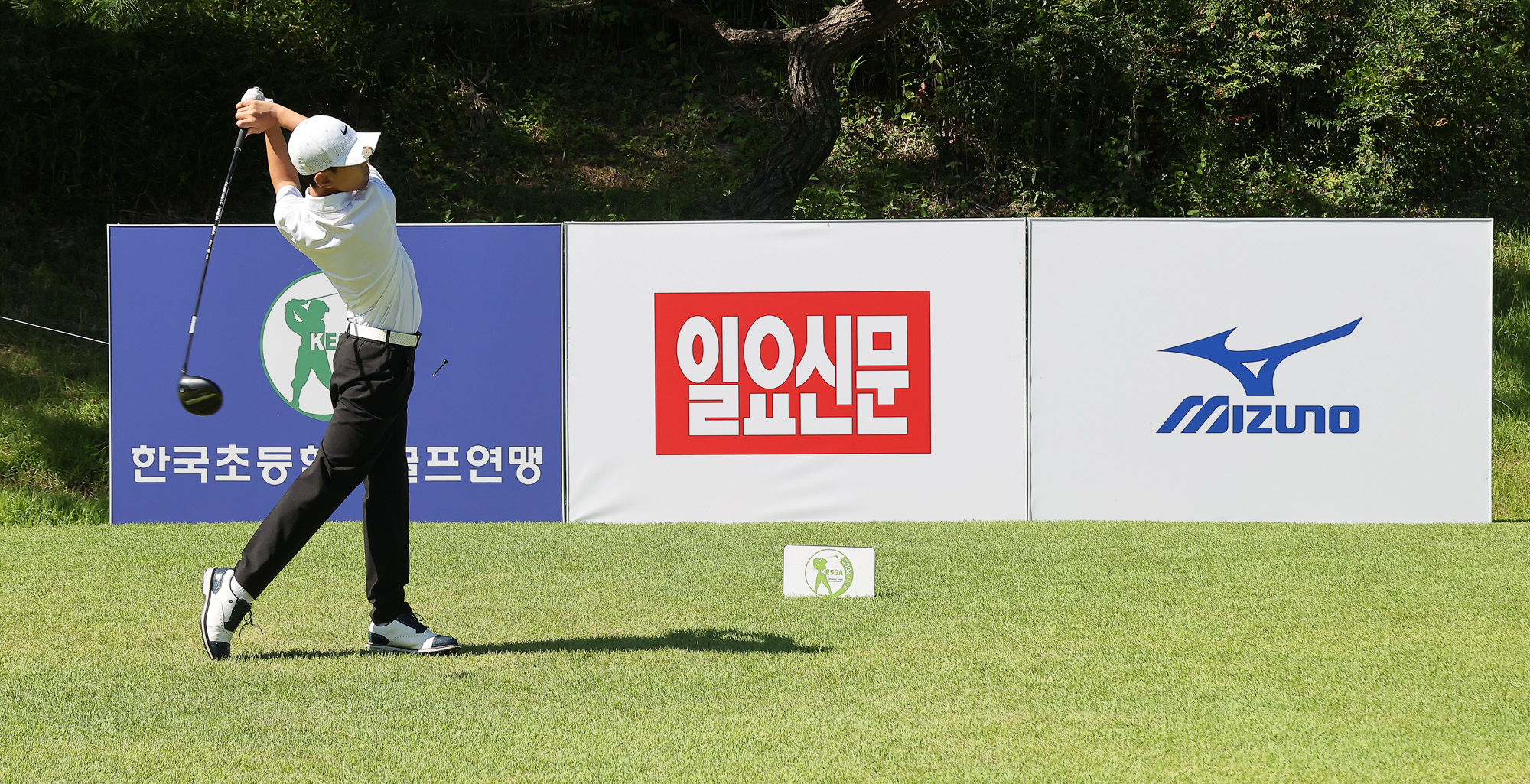 일요신문;일요신문골프;일요신문꿈나무골프대회;골프대회;꿈나무골프대회;보성;보성CC;대잔치 골프연맹;초등학생