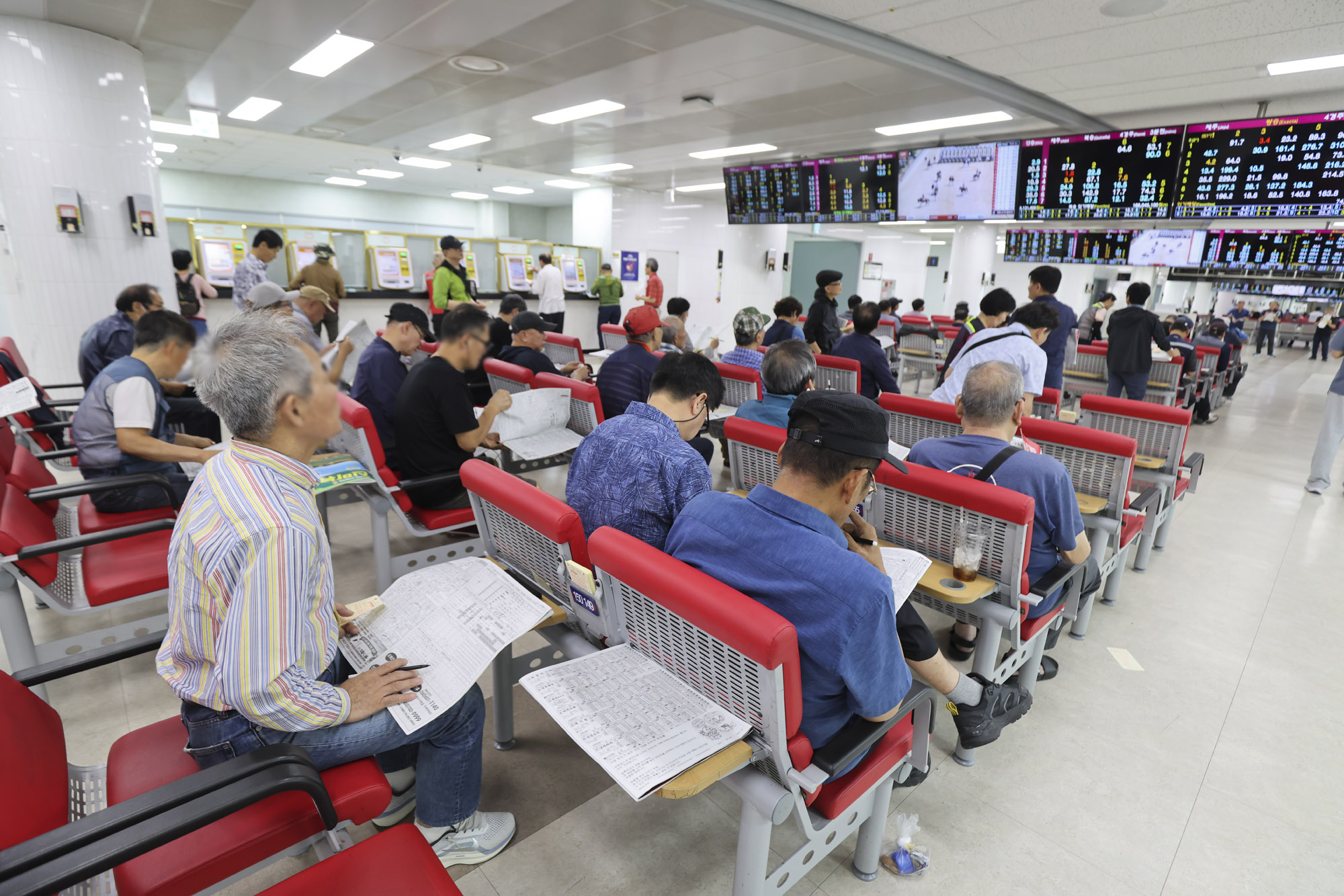 과천경마장;렛츠런파크;노인경마;노인도박