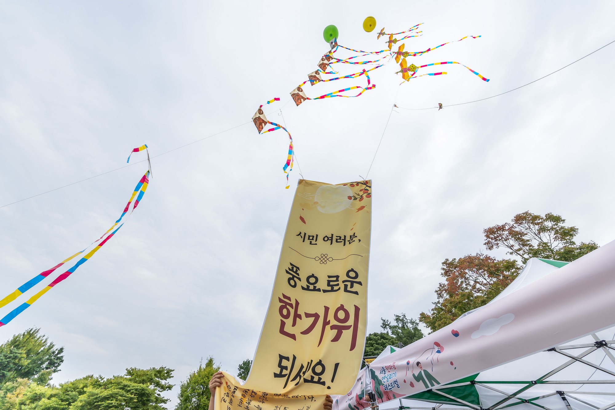 문화;행사;일요신문;2026서울한마음연날리기페스티벌;연날리기행사;낙성대공원;전통문화