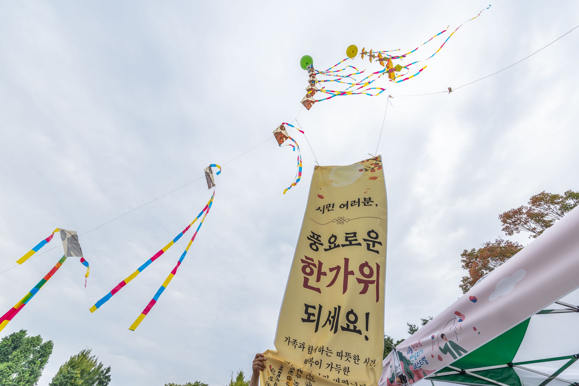 문화;행사;일요신문;2026서울한마음연날리기페스티벌;연날리기행사;낙성대공원;전통문화