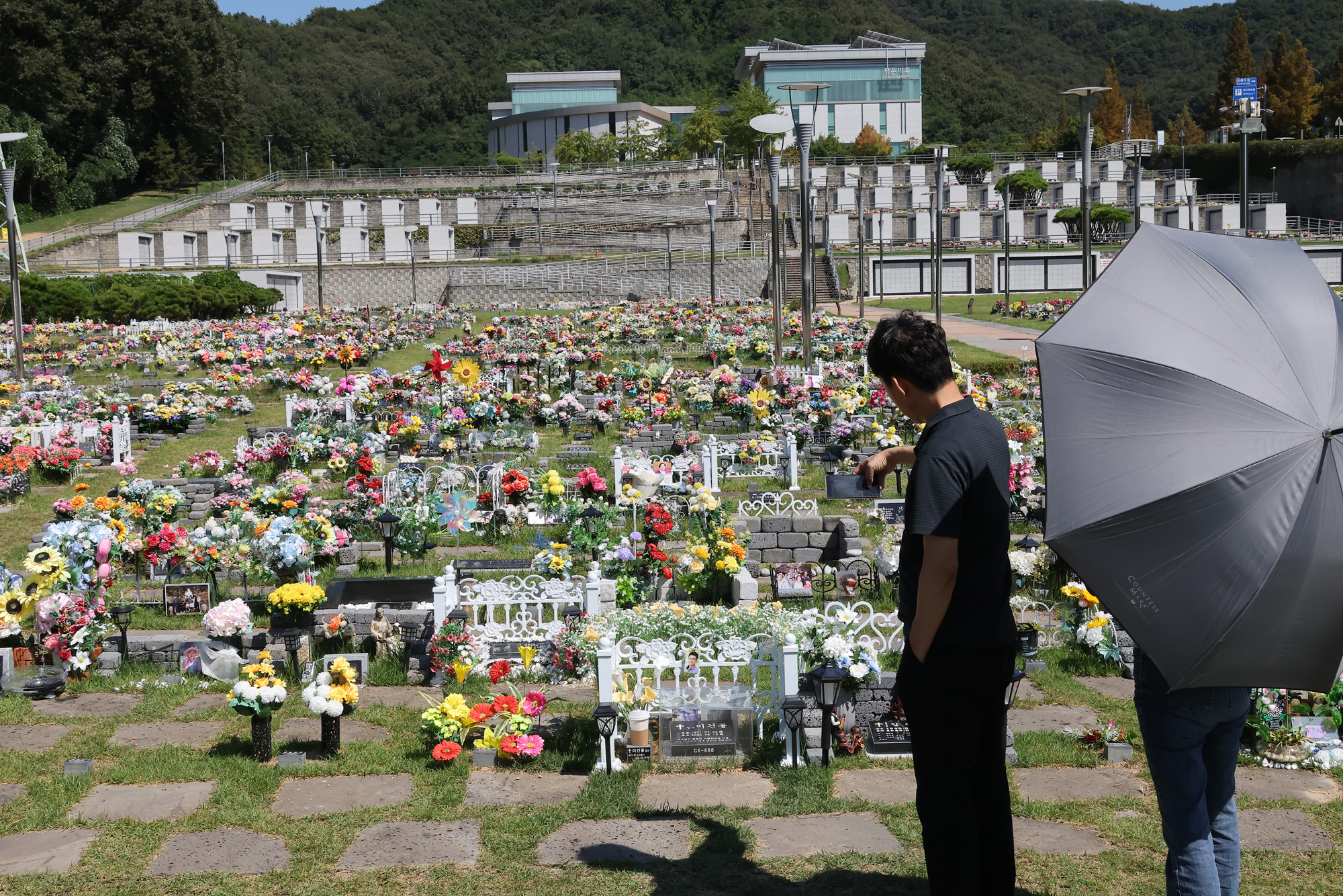 용인평온의숲;성묘;추석;묘지