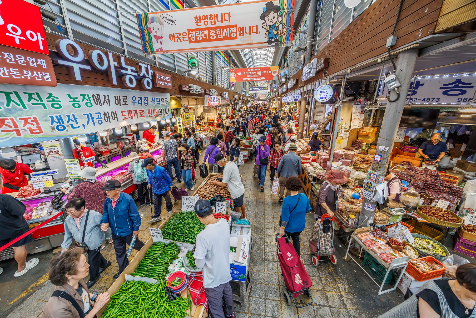 사회;세태;명절;추석;추석장보기;전통시장스케치;전통시장장보기;청량리전통시장