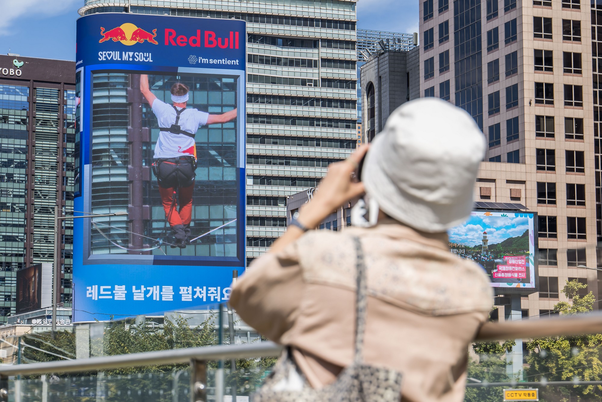사회;행사;레드불;레드불슬랙라인;레드불서울줄타기;얀루스;레드불줄타기퍼포먼스;고공왕복횡단줄타기