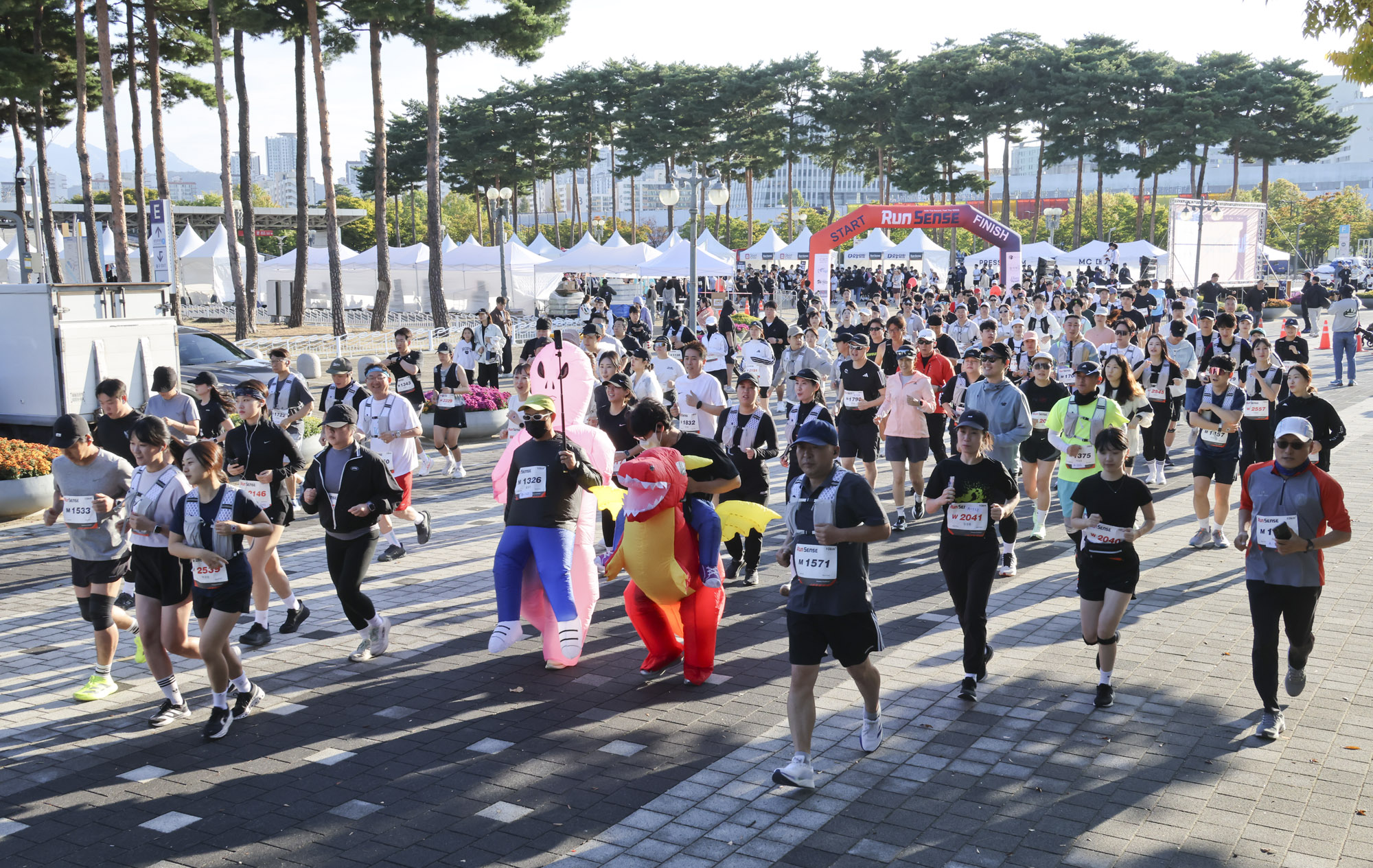 런센스;마라톤;버닝런;런센스2026;비즈한국
