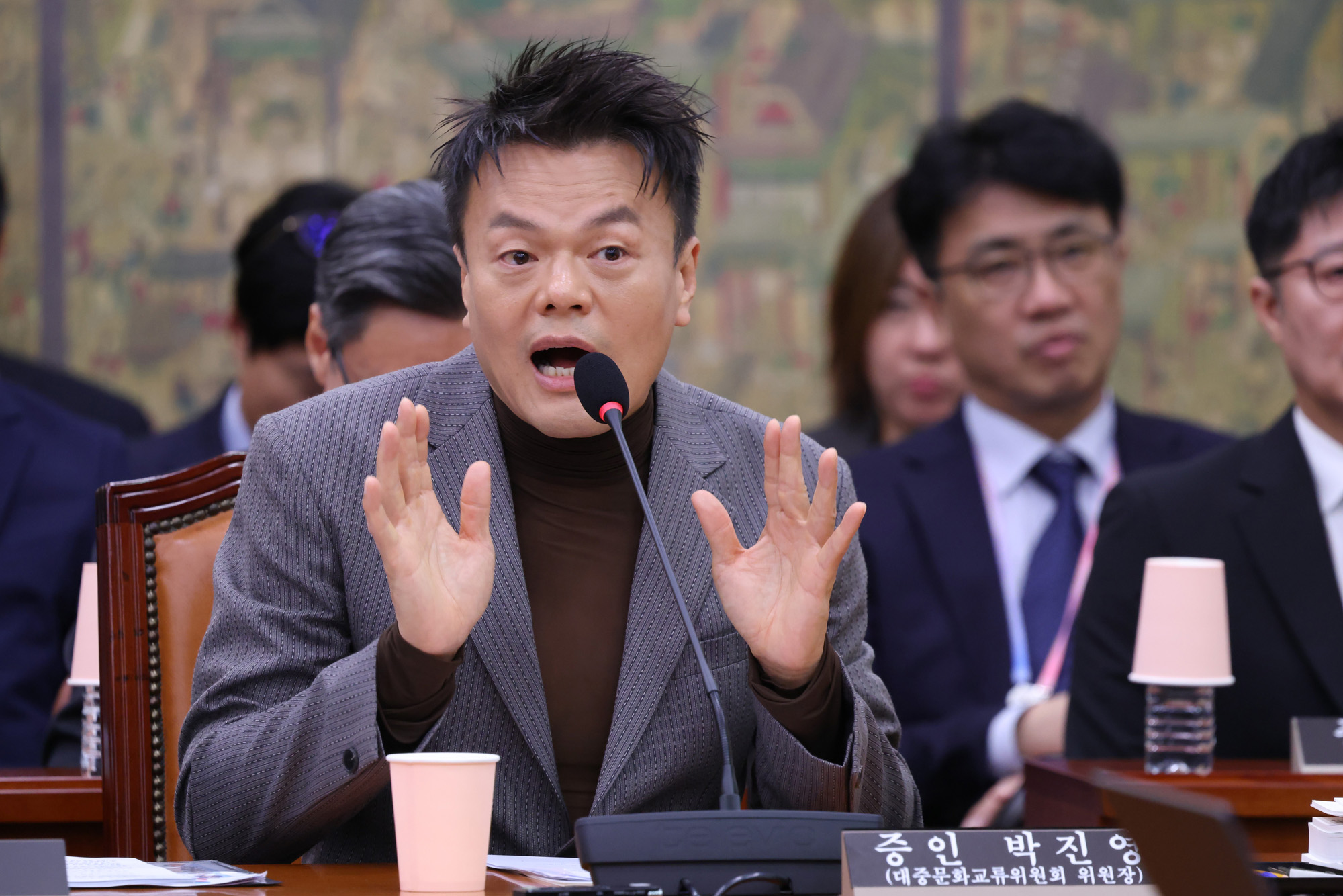 정치;국회;국정감사;문화체육관광위원회 문화체육관광부;대중문화교류위원회;박진영