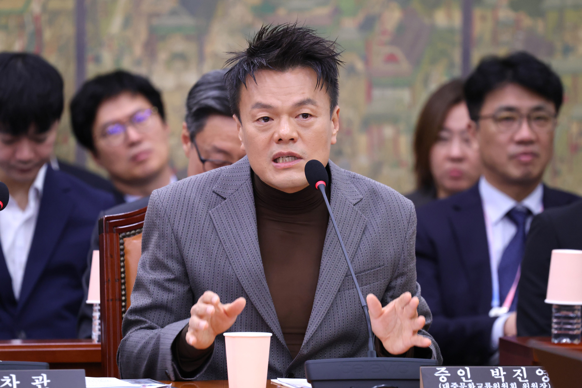 정치;국회;국정감사;문화체육관광위원회 문화체육관광부;대중문화교류위원회;박진영