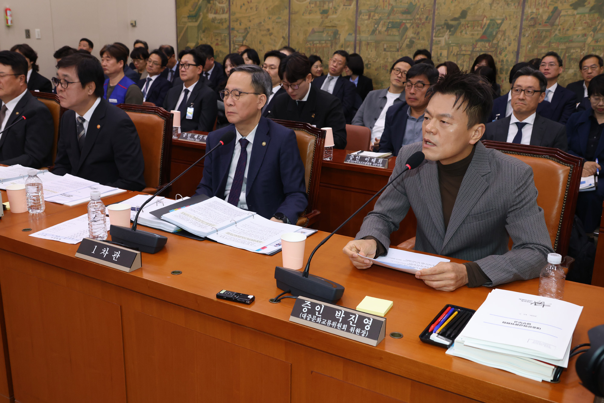 정치;국회;국정감사;문화체육관광위원회 문화체육관광부;대중문화교류위원회;박진영