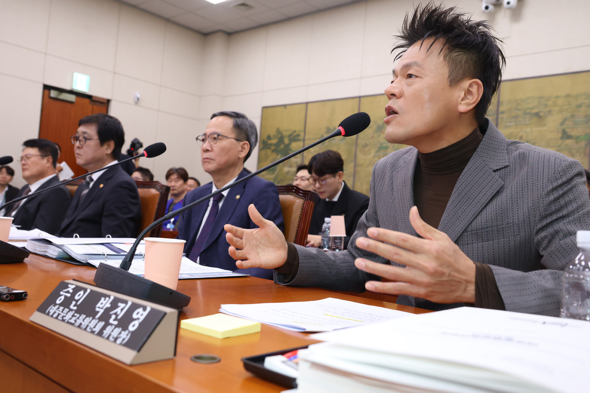 정치;국회;국정감사;문화체육관광위원회 문화체육관광부;대중문화교류위원회;박진영