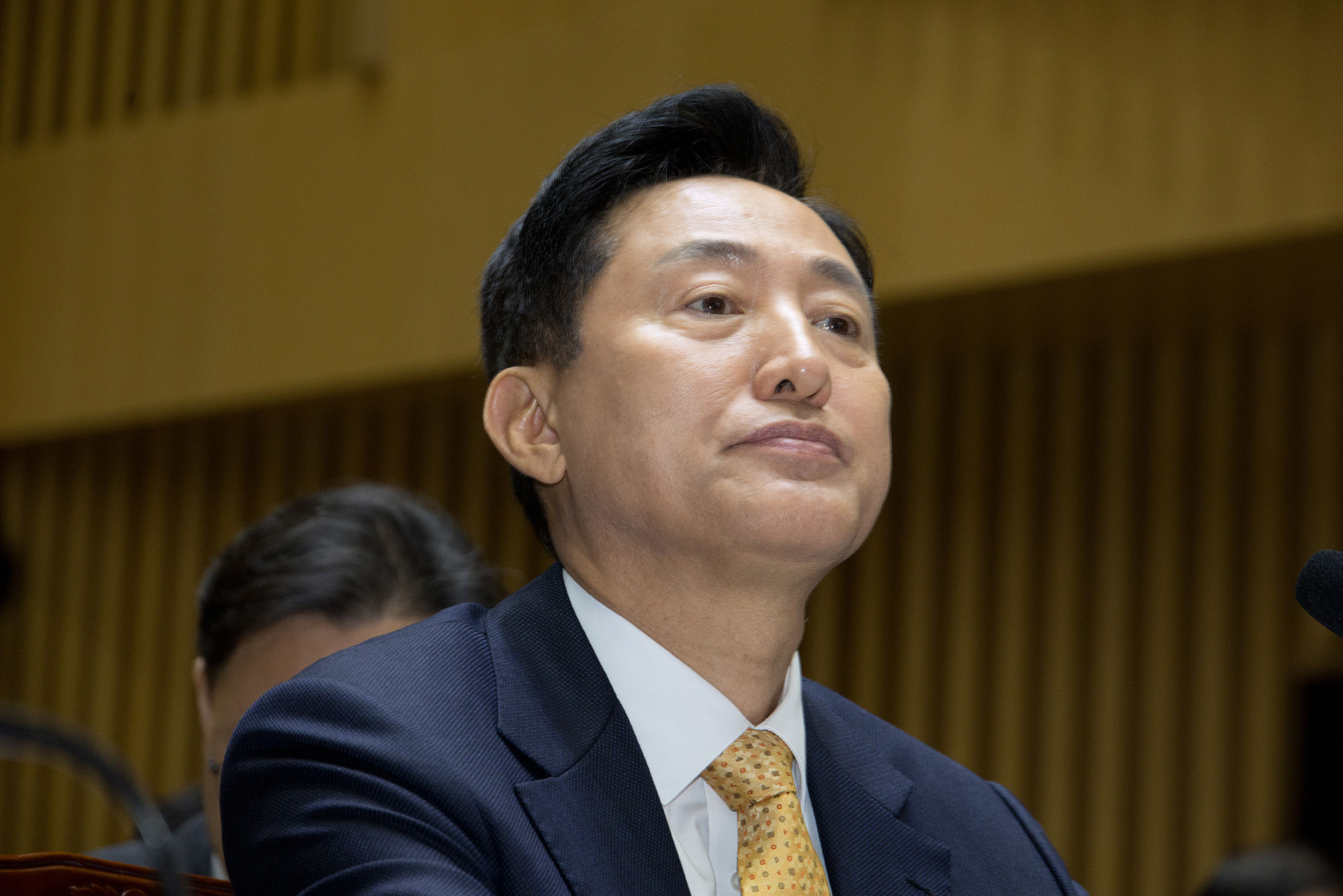 정치;국회;국정감사;행안위;서울시