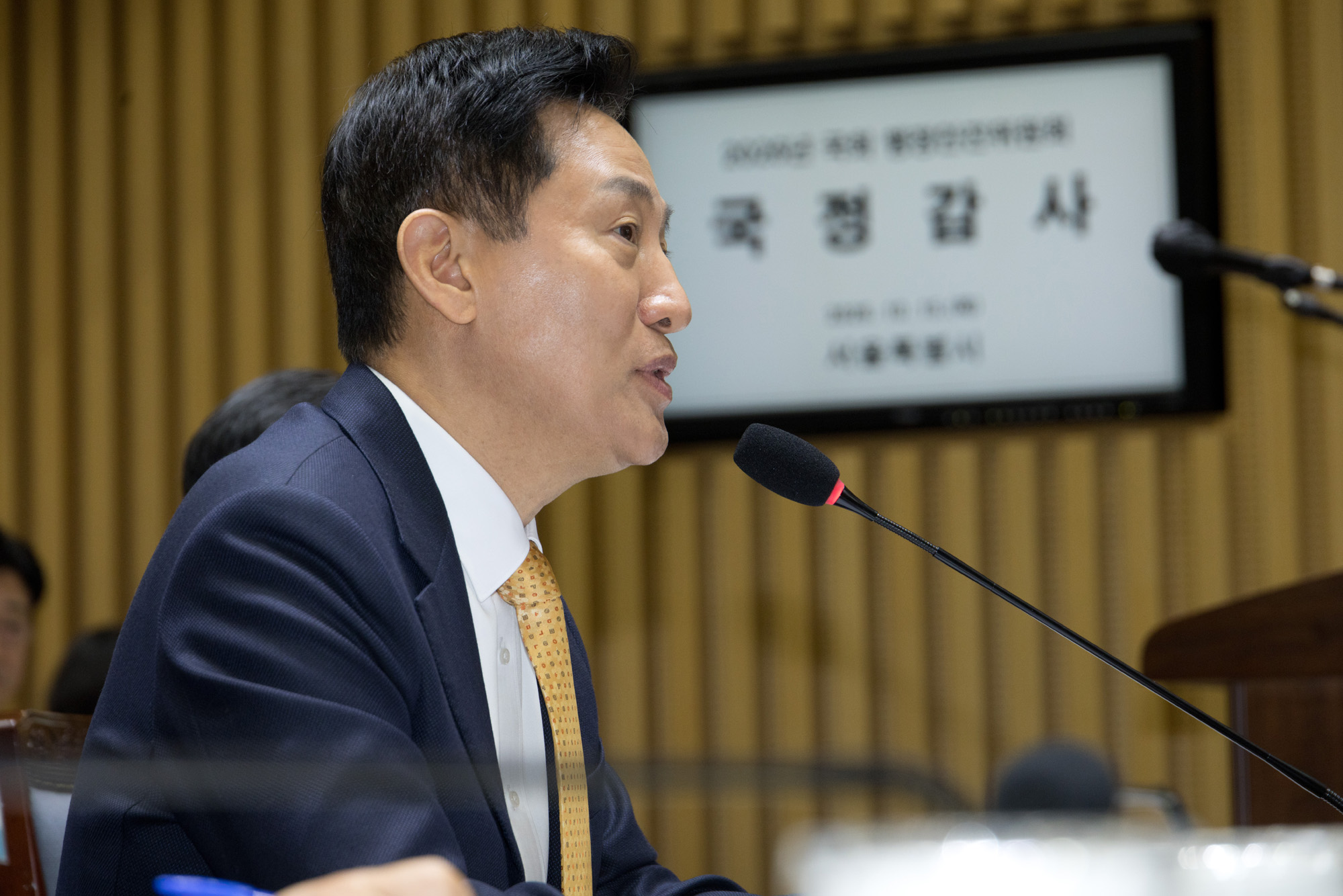 정치;국회;국정감사;행안위;서울시