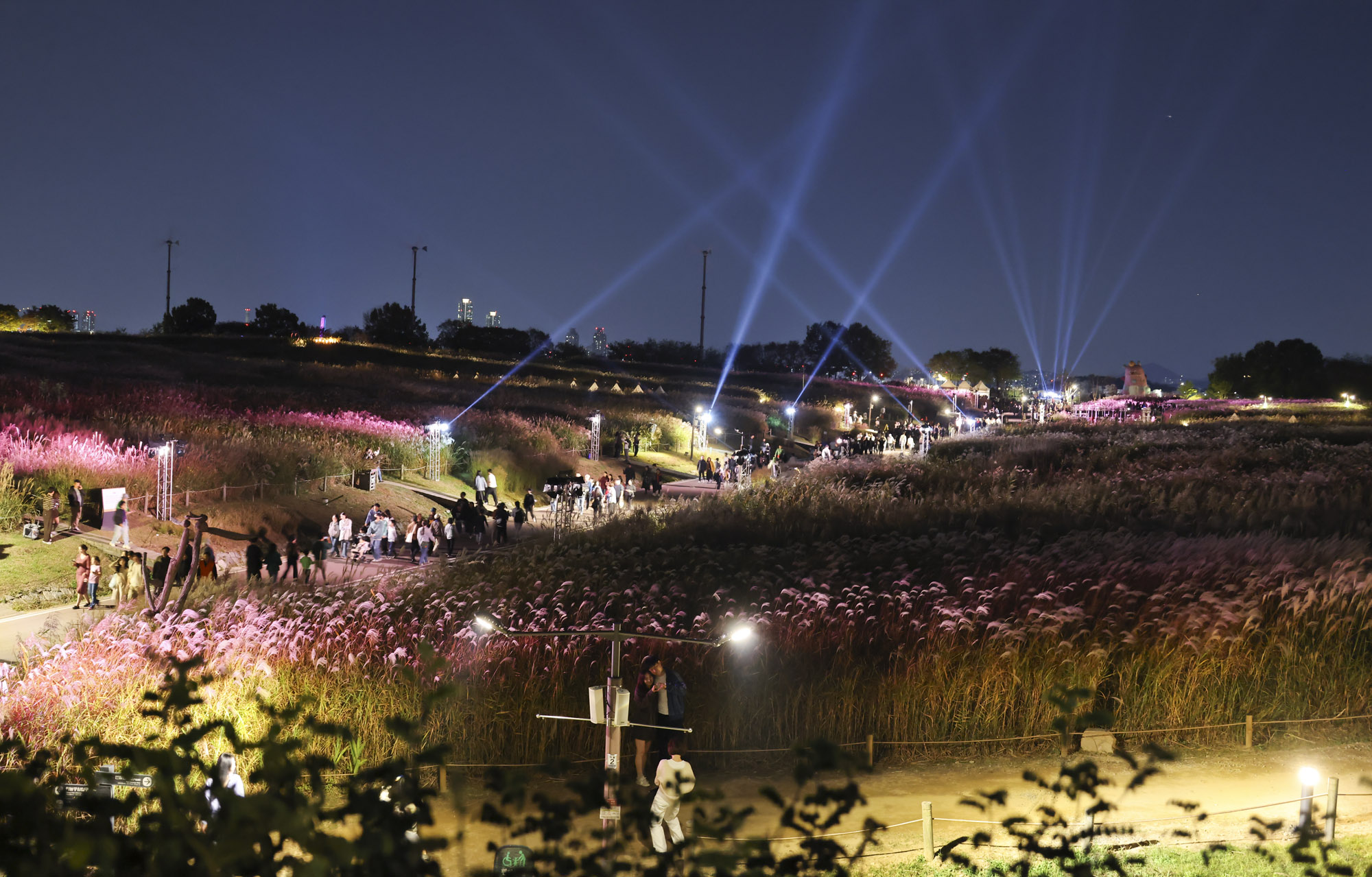 억새축제;하늘공원
